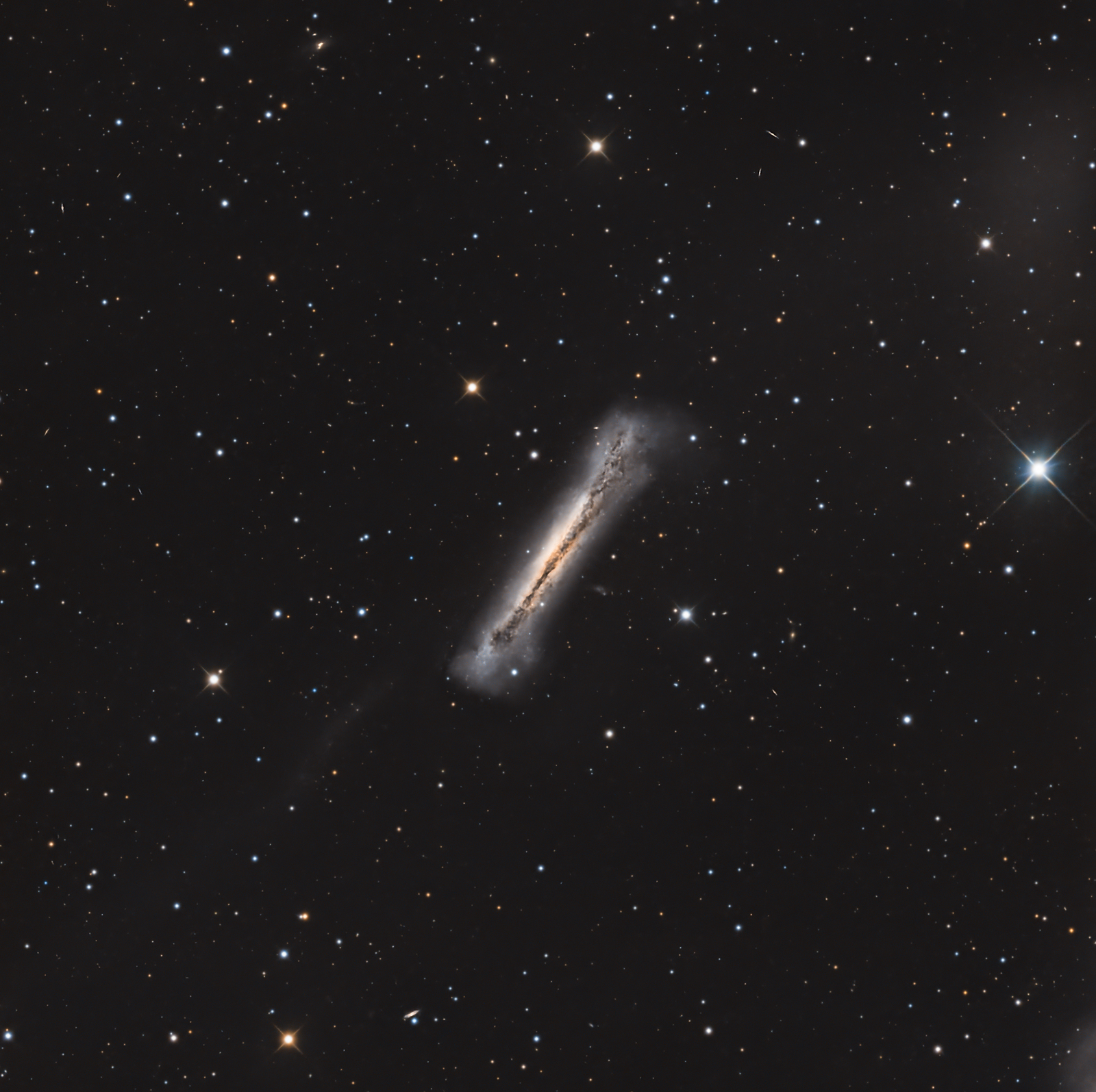 NGC3628_2-1600.jpg