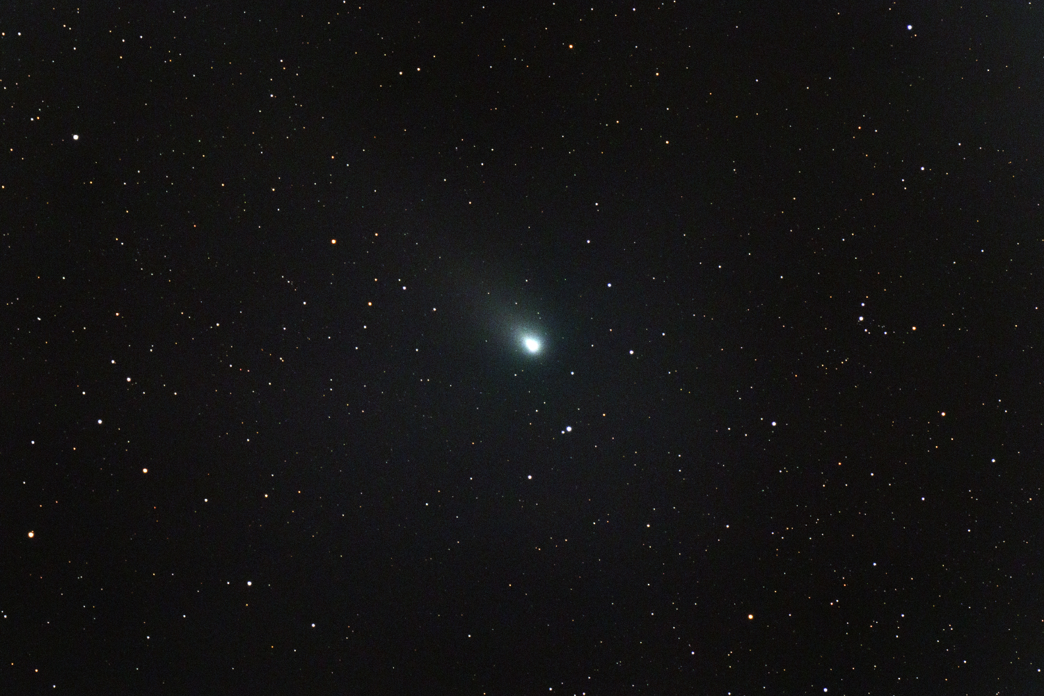 comet_21P_IMG_5350cr2cropweb_bsyeom.jpg