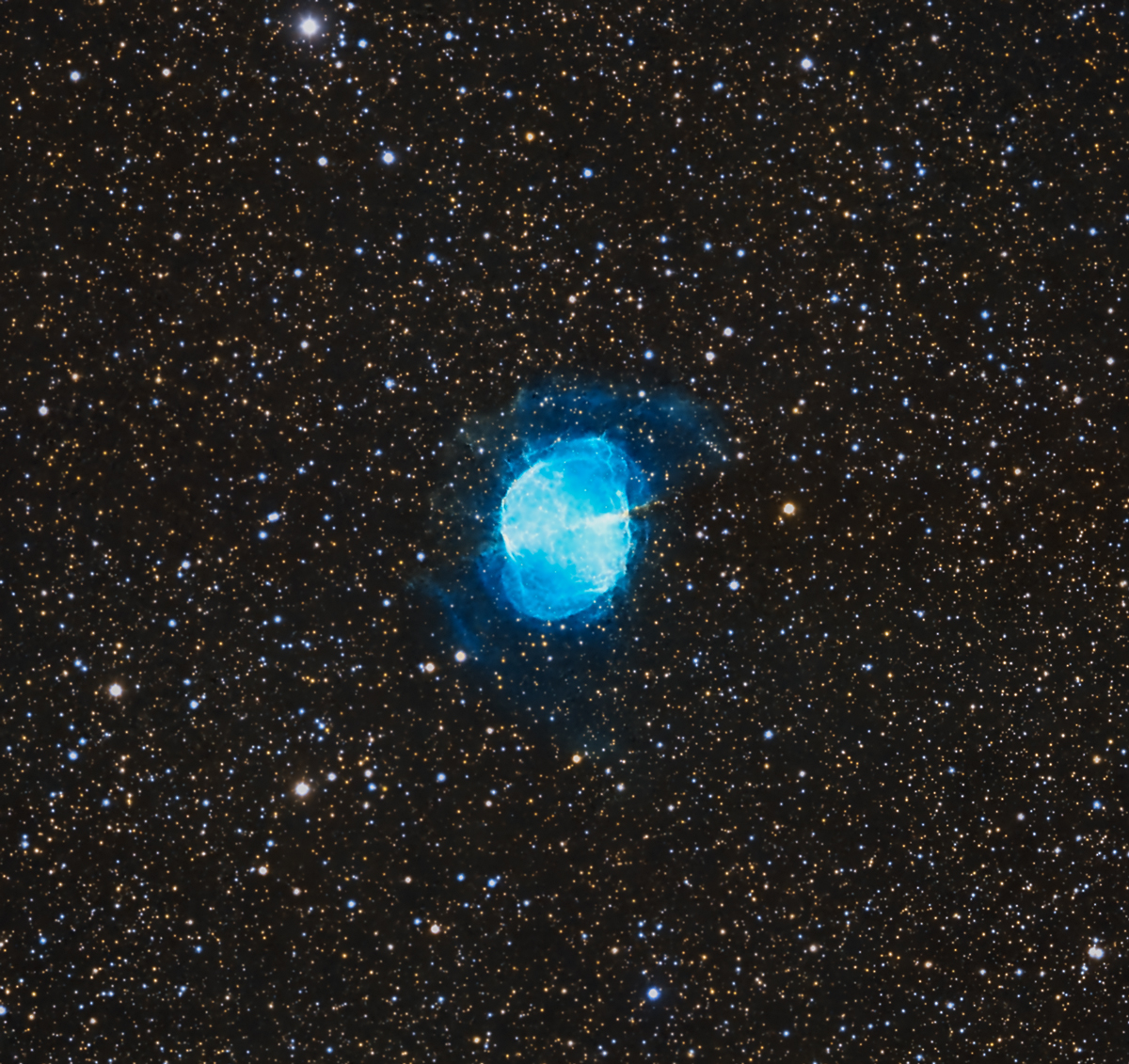 SHO_MC-1200.jpg