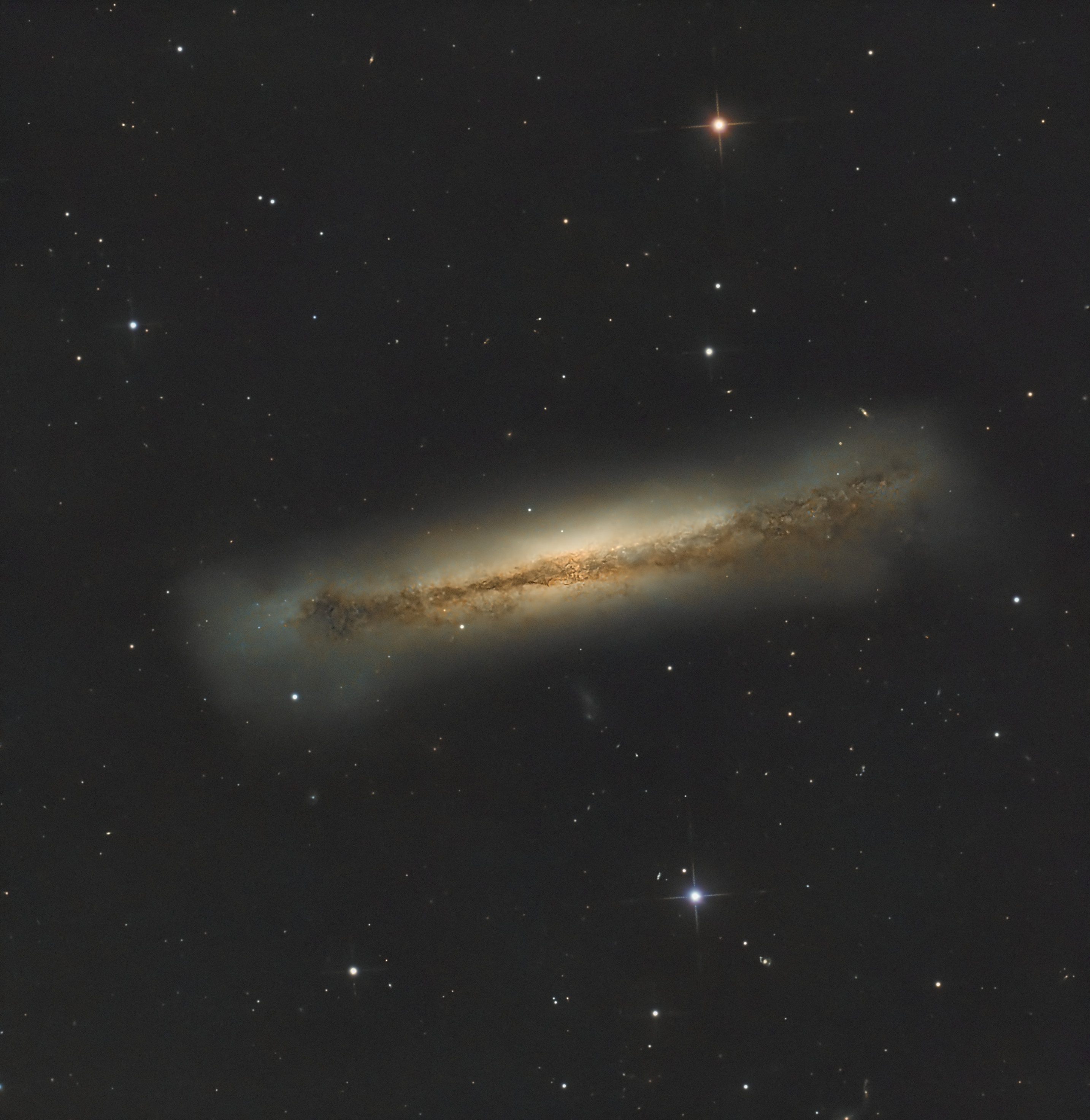 _271_NGC3628.jpg