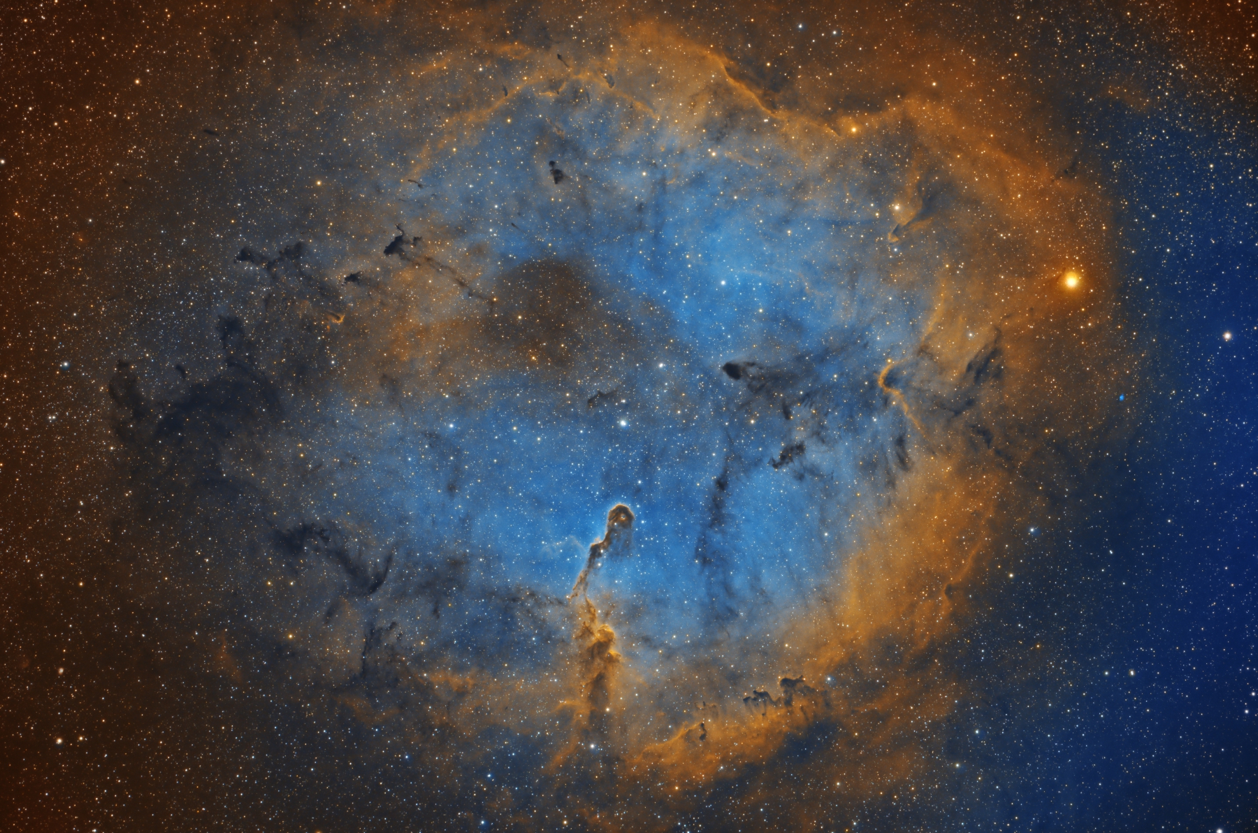 IC1396a web.jpg