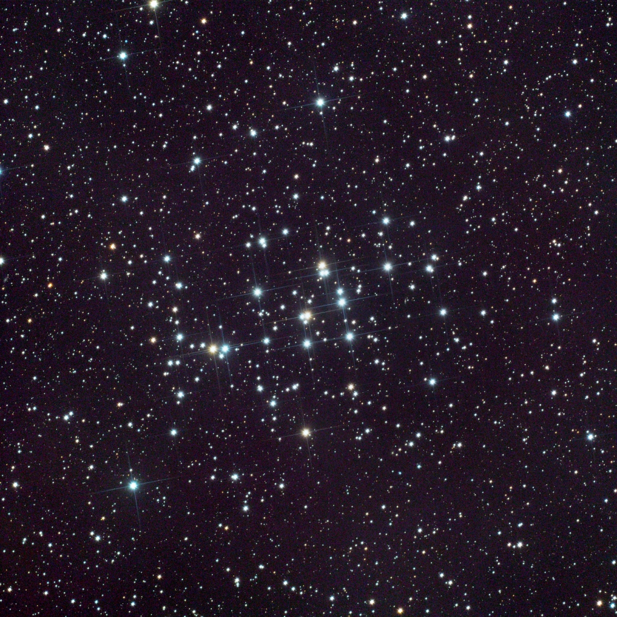 M44 12-9.jpg