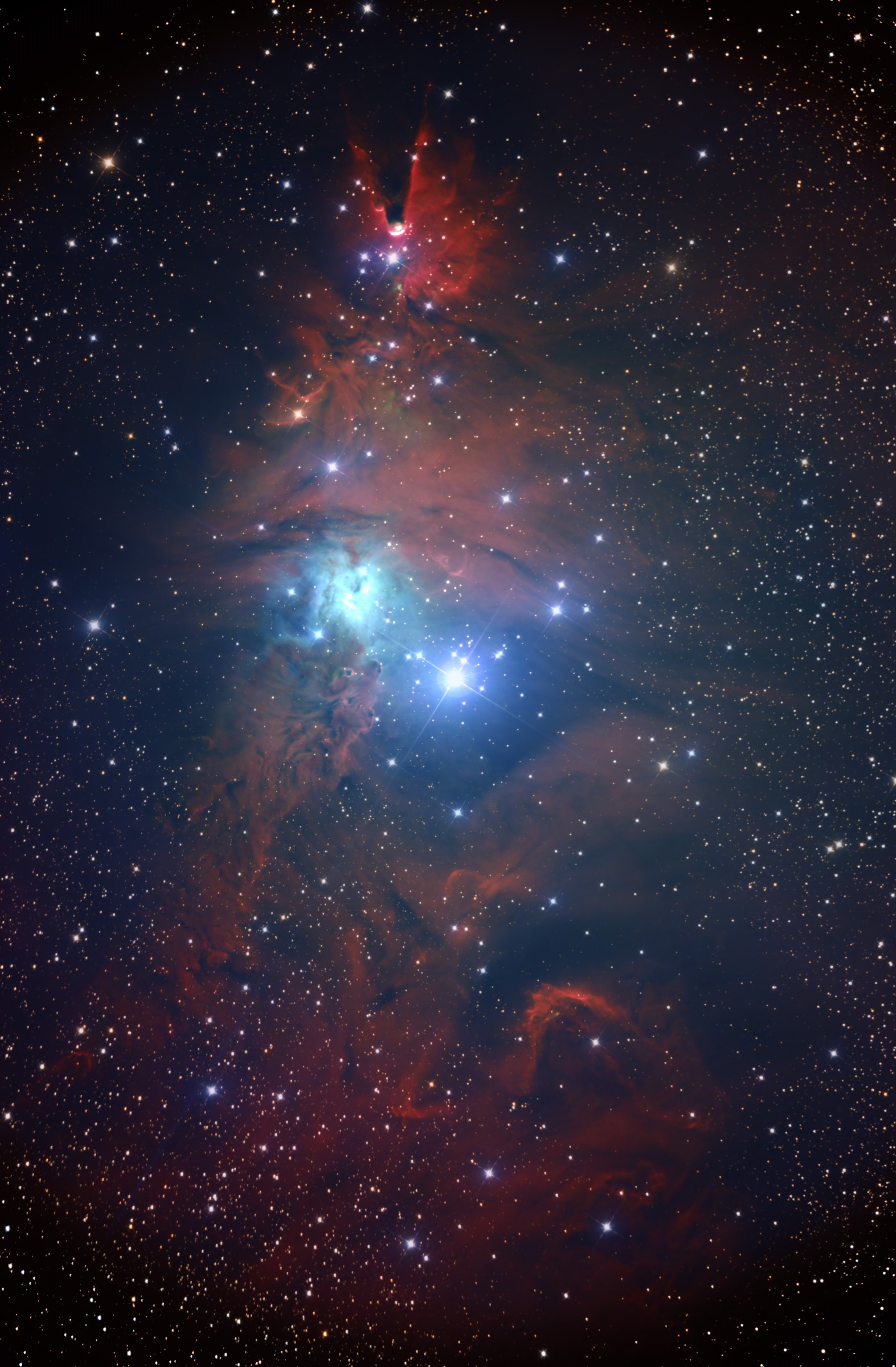 NGC2264b.jpg