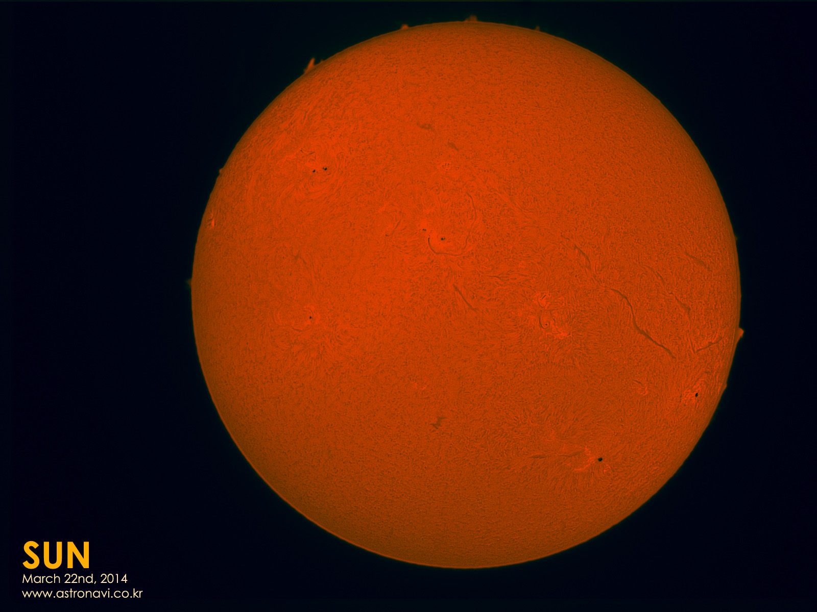 sun 10-38-14ffffweb.jpg