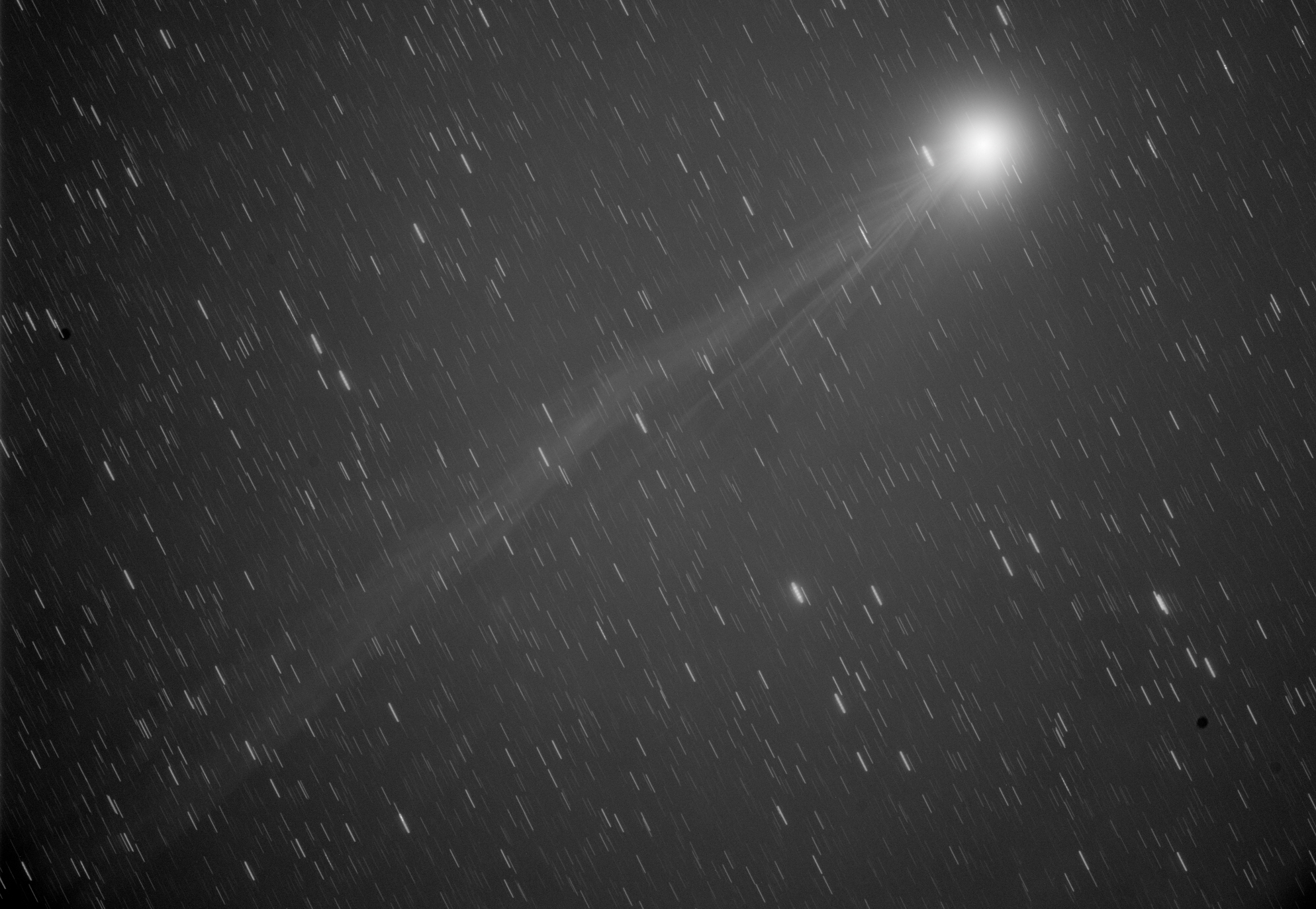 Comet  ll 300s -00XLL_ca AV ME SUM Half resize CrOP.jpg