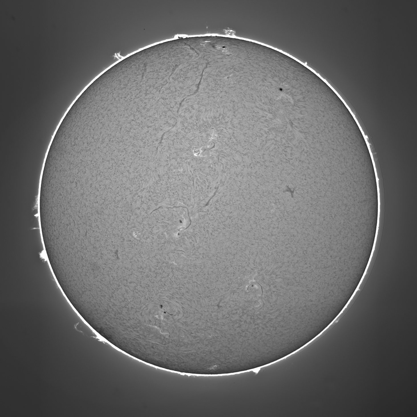 sun0322f.jpg