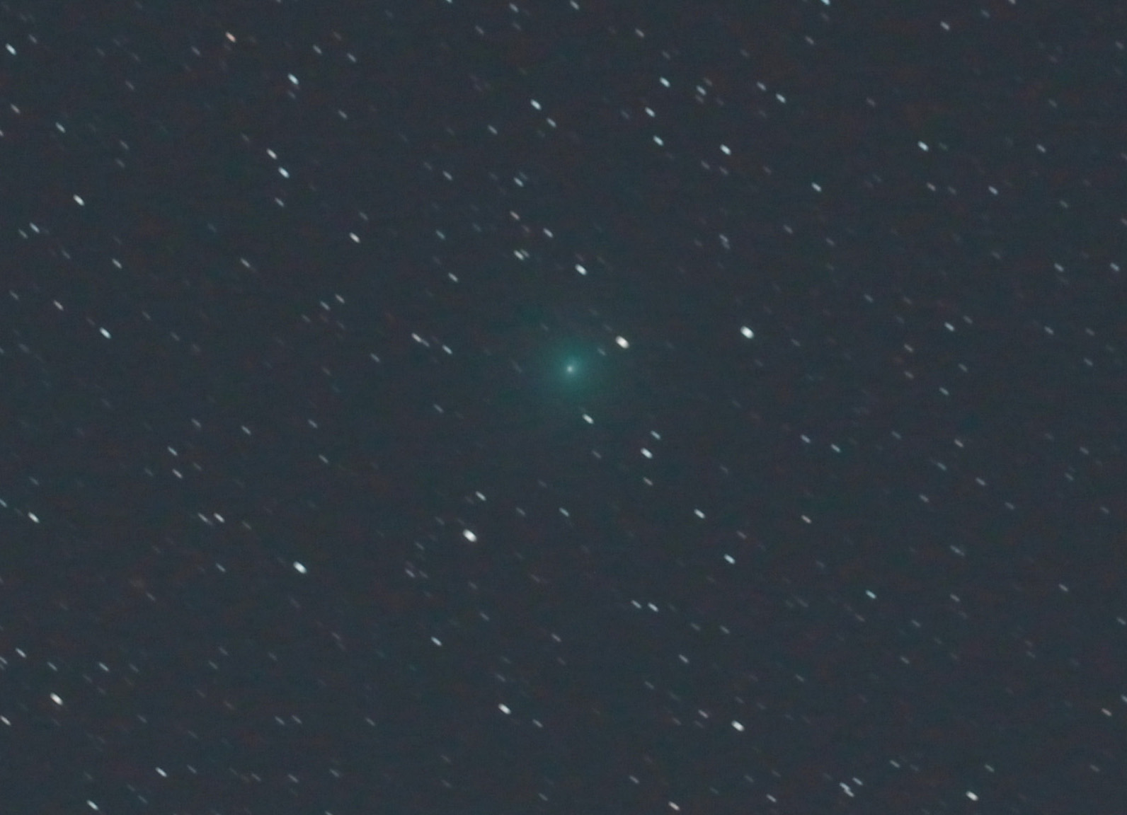 C2020 M3 comet align.jpg