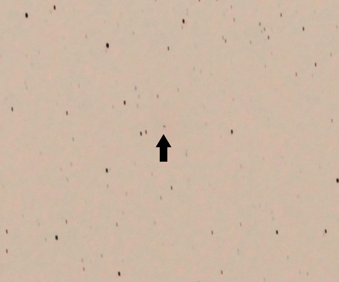 156P Russell-LINEAR comet align - 반전.jpg