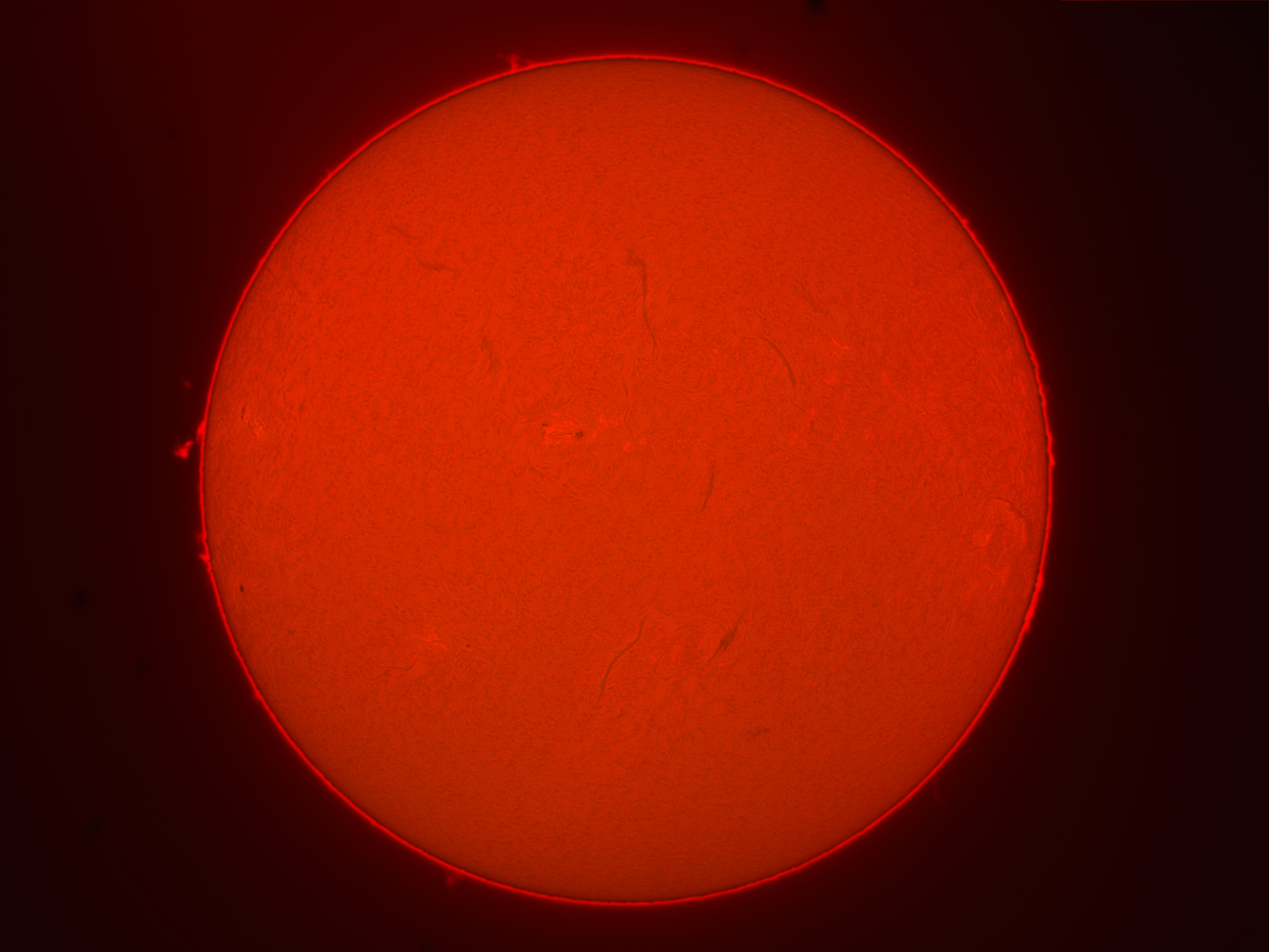 sun 11-36-pff.jpg