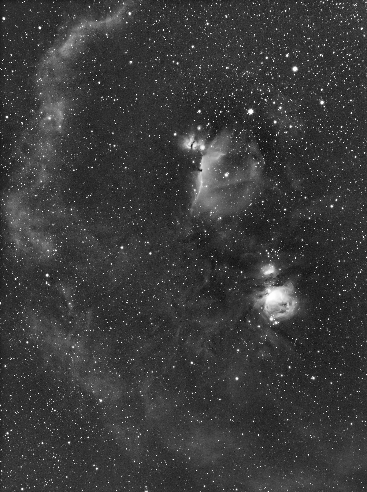 orion_combine_raw_process_rotate_crop_resize1200_reprocess.jpg