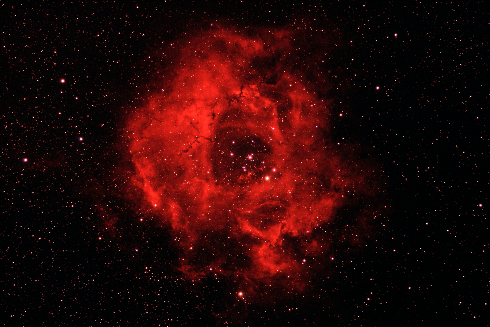 NGC2244_Ha-1.JPG