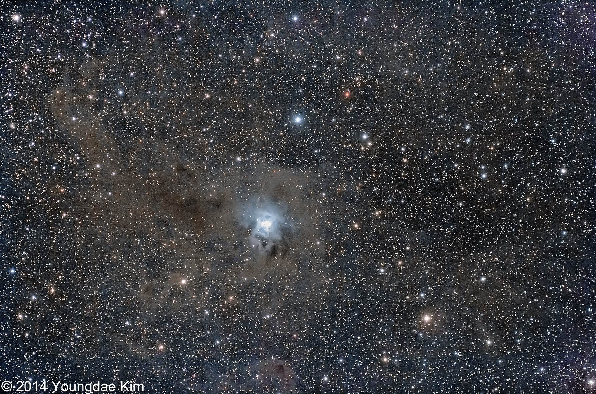 NGC7023_.jpg