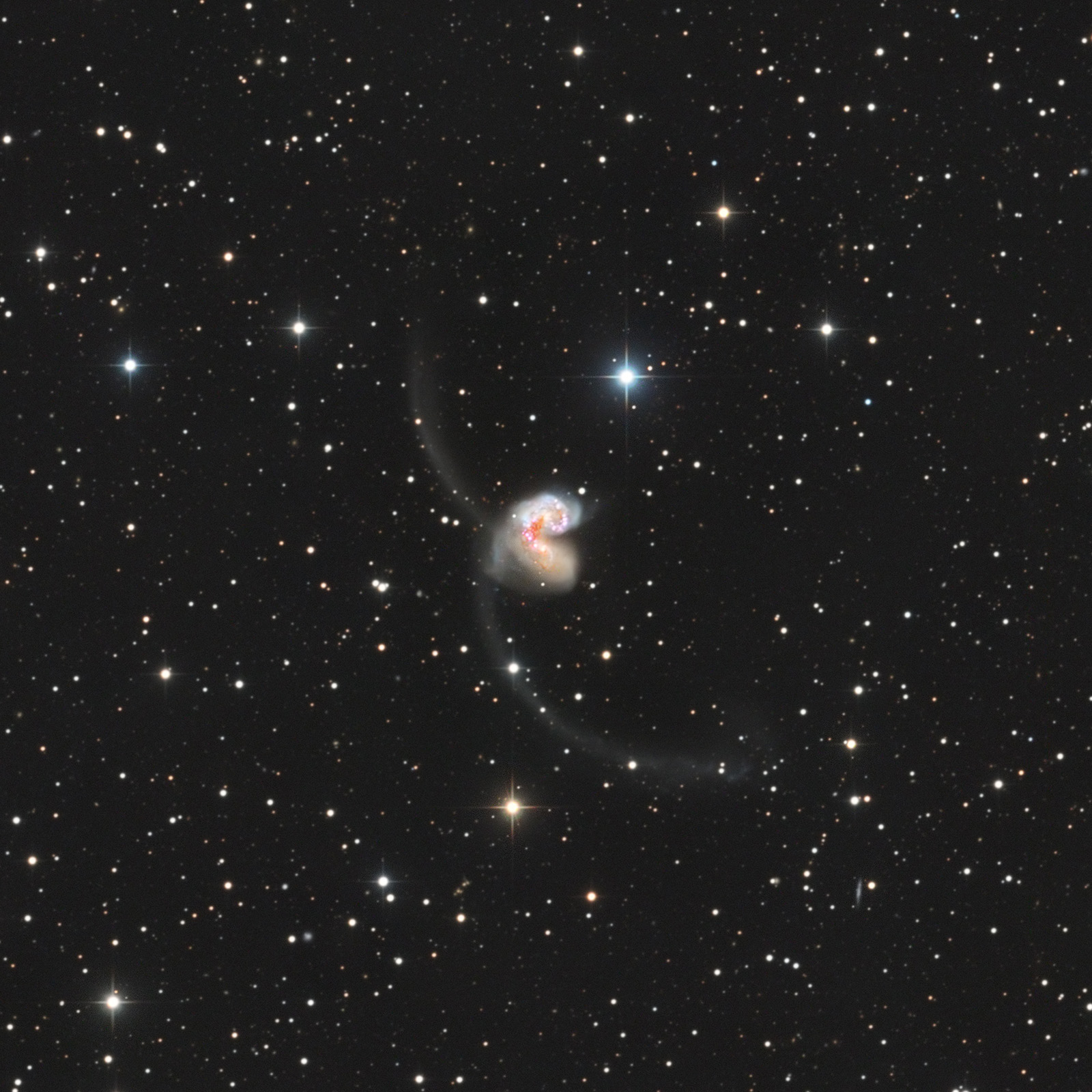 NGC4038_1600px_q10.jpg