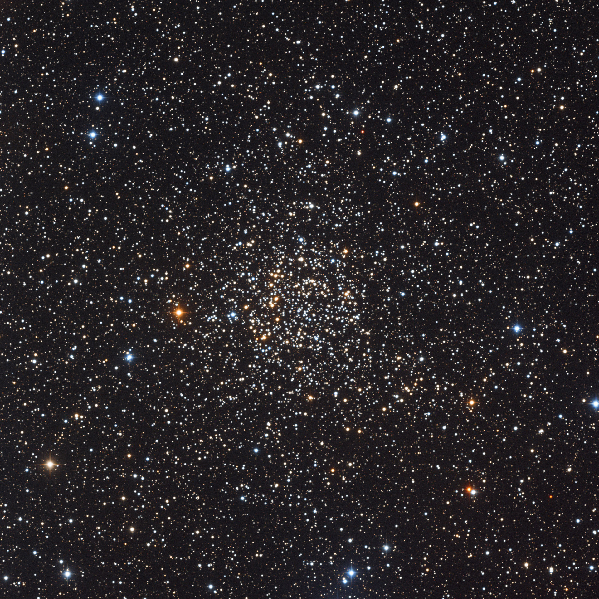 NGC7789_1920px_q10.jpg