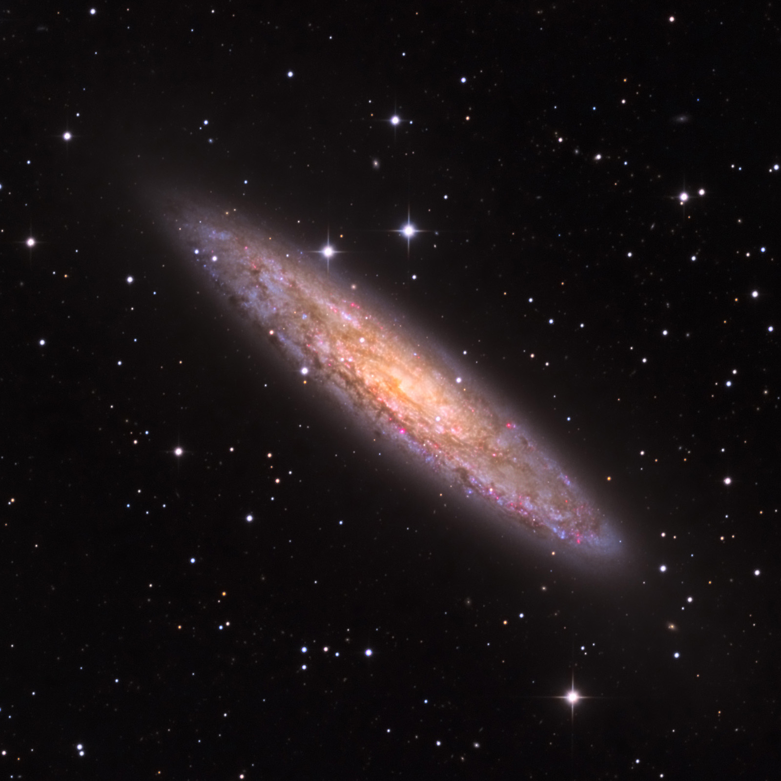 NGC253_crop_1600px.jpg