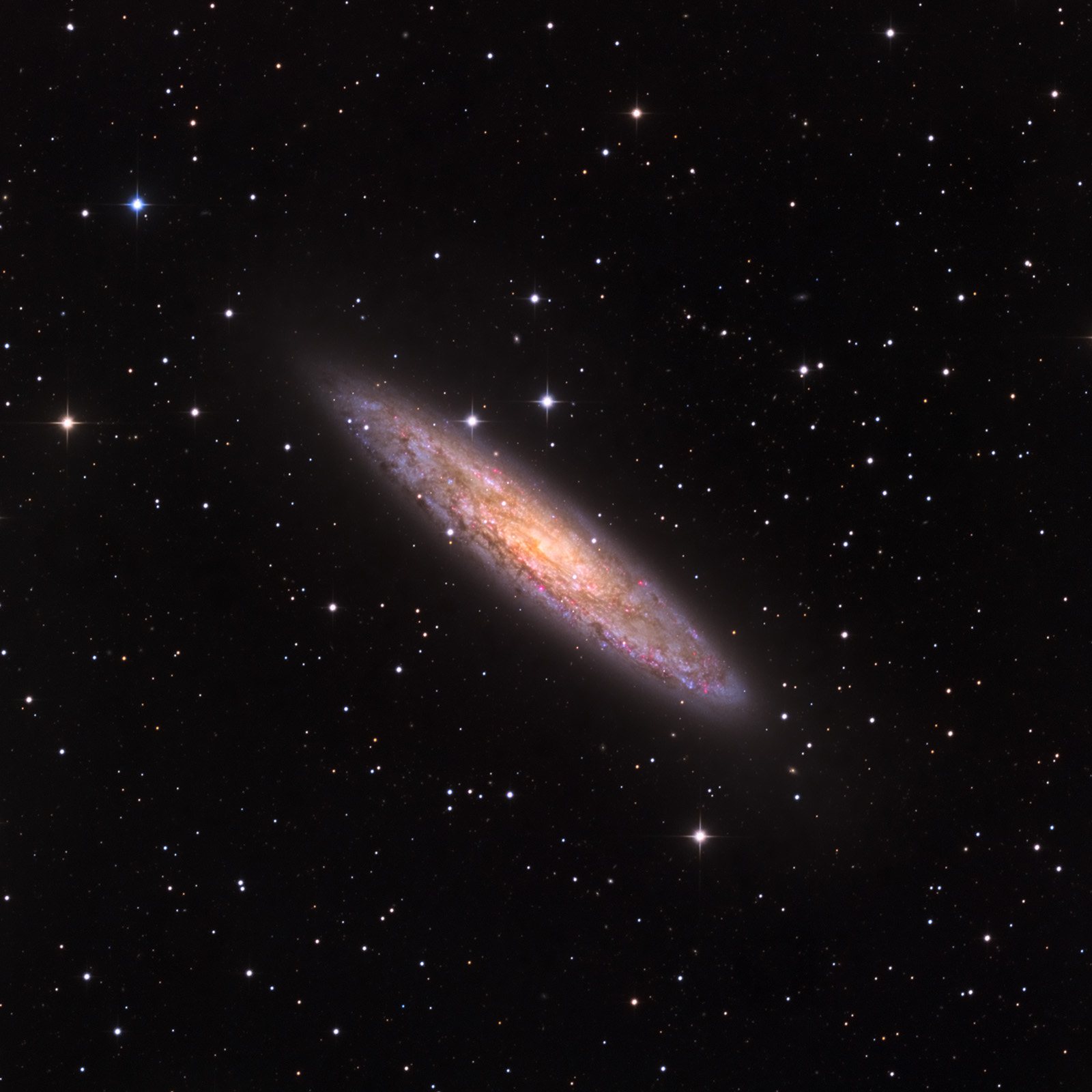 NGC253_1600px.jpg