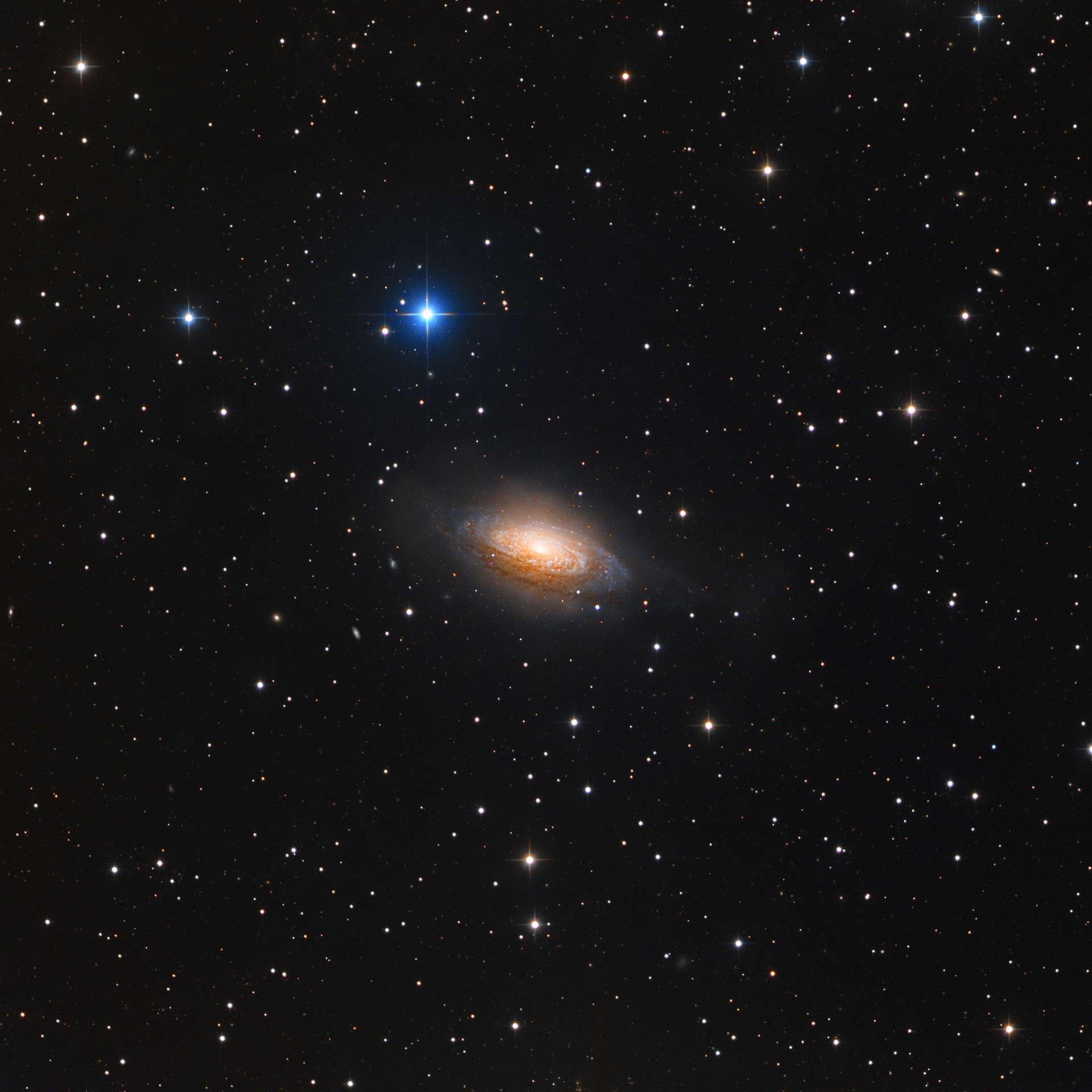 NGC3521_1920px_q10.jpg