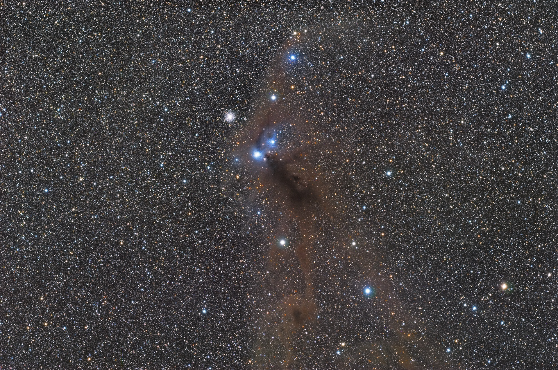 NGC6729_1920px_q10.jpg