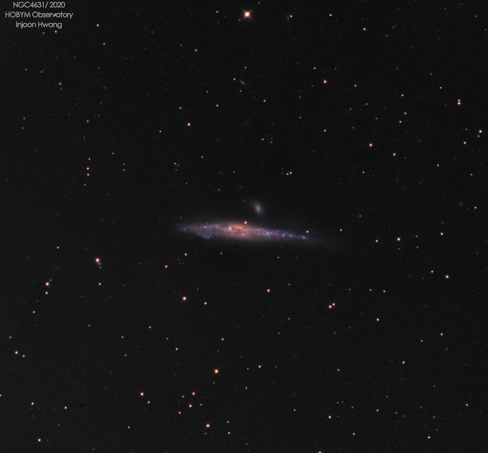 NGC4631LRGBweb.jpg