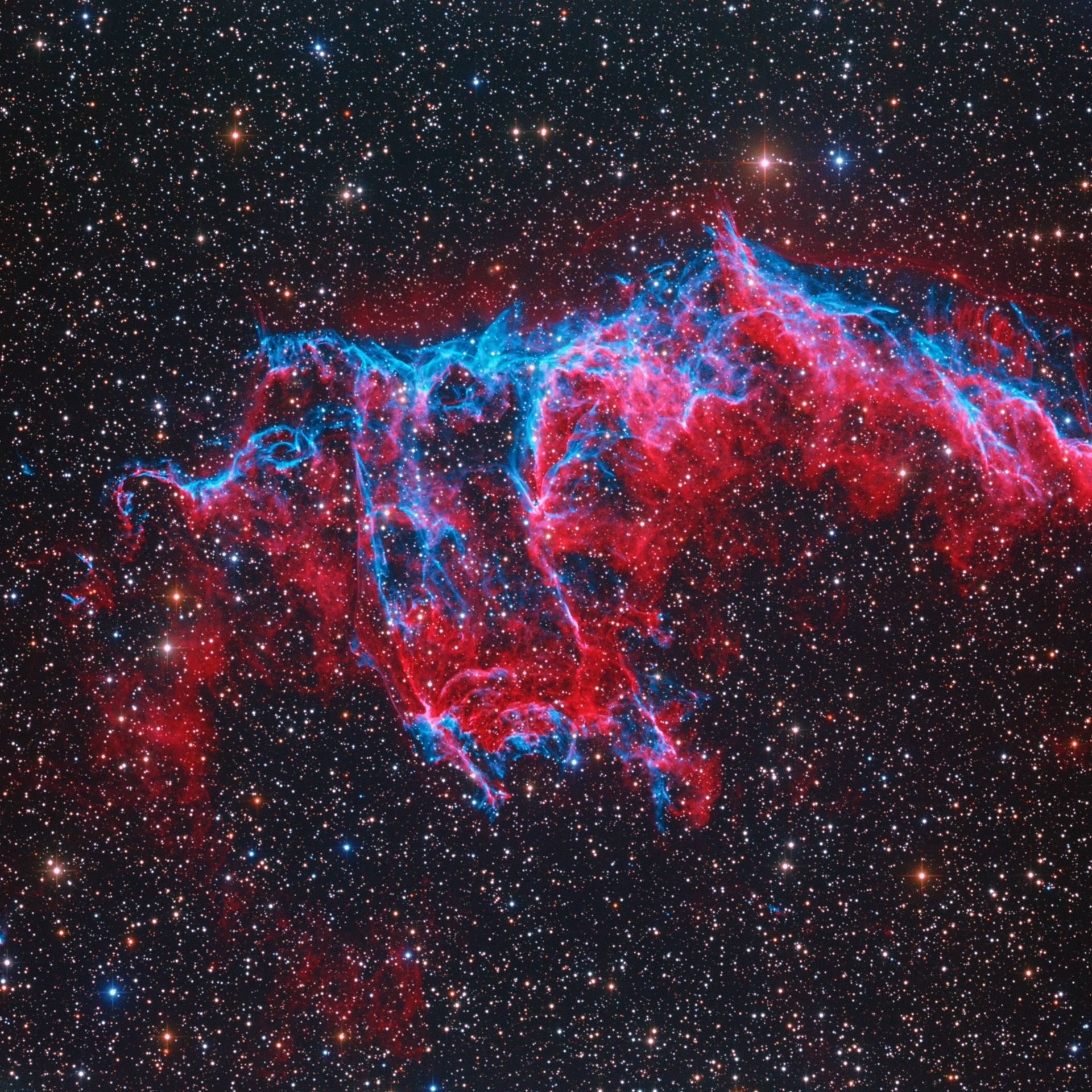 NGC6995_1920px_q10.jpg
