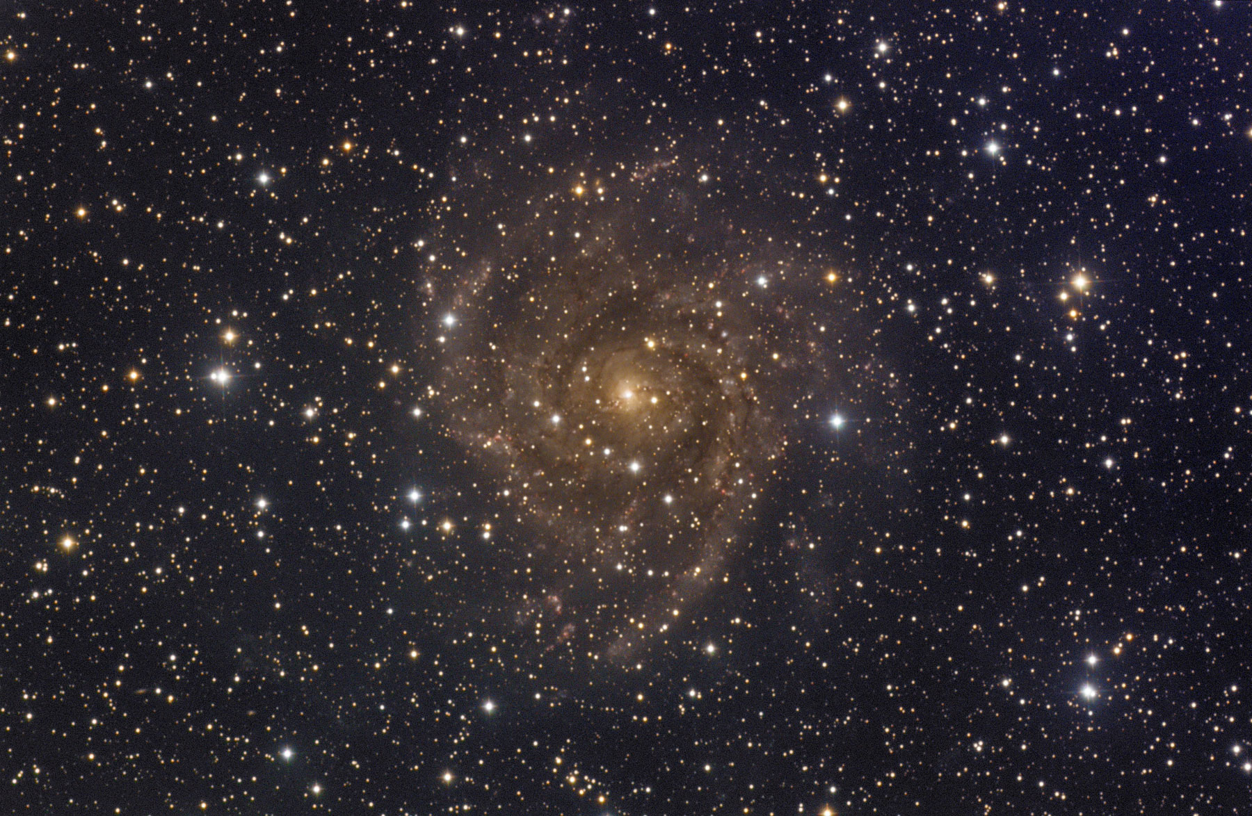 IC342 CCDStack.jpg