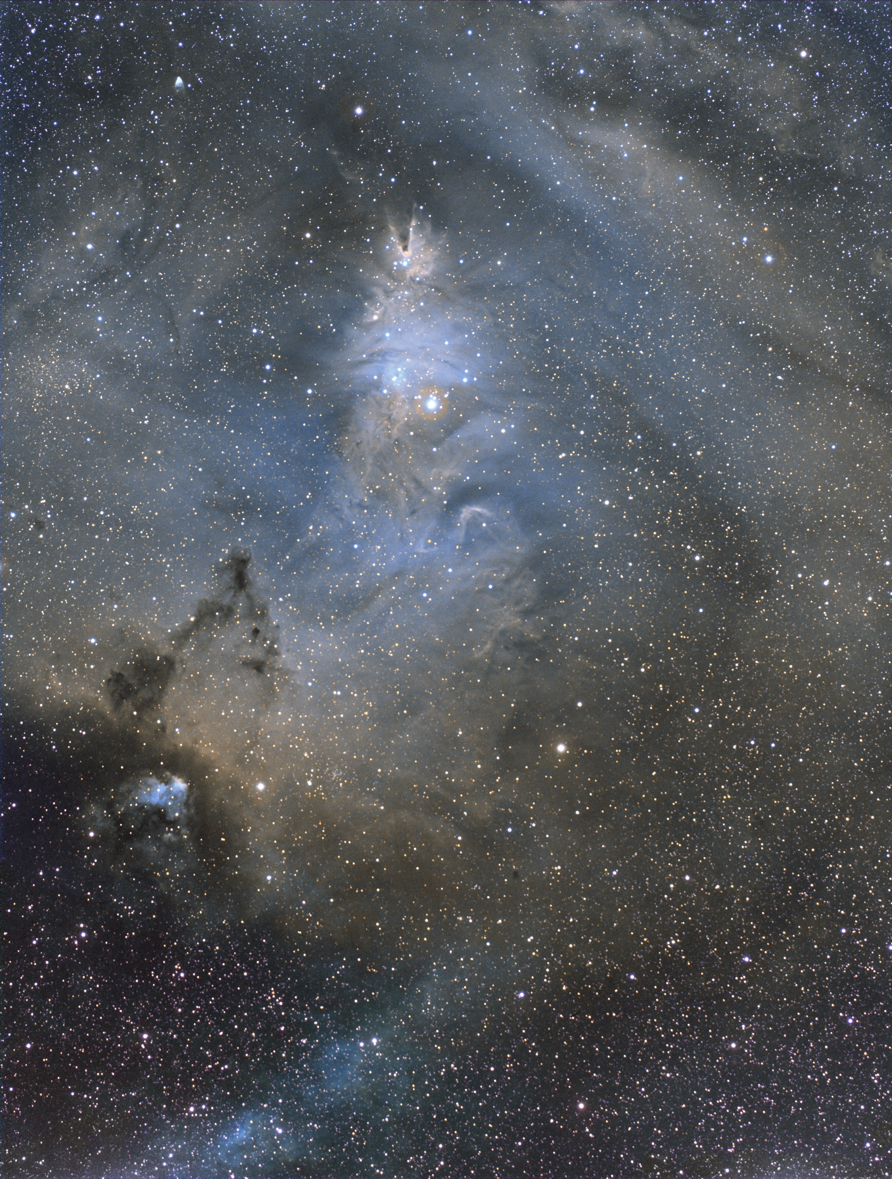 NGC2264_SHO합성1_보정7_회전_크기50_용량.jpg