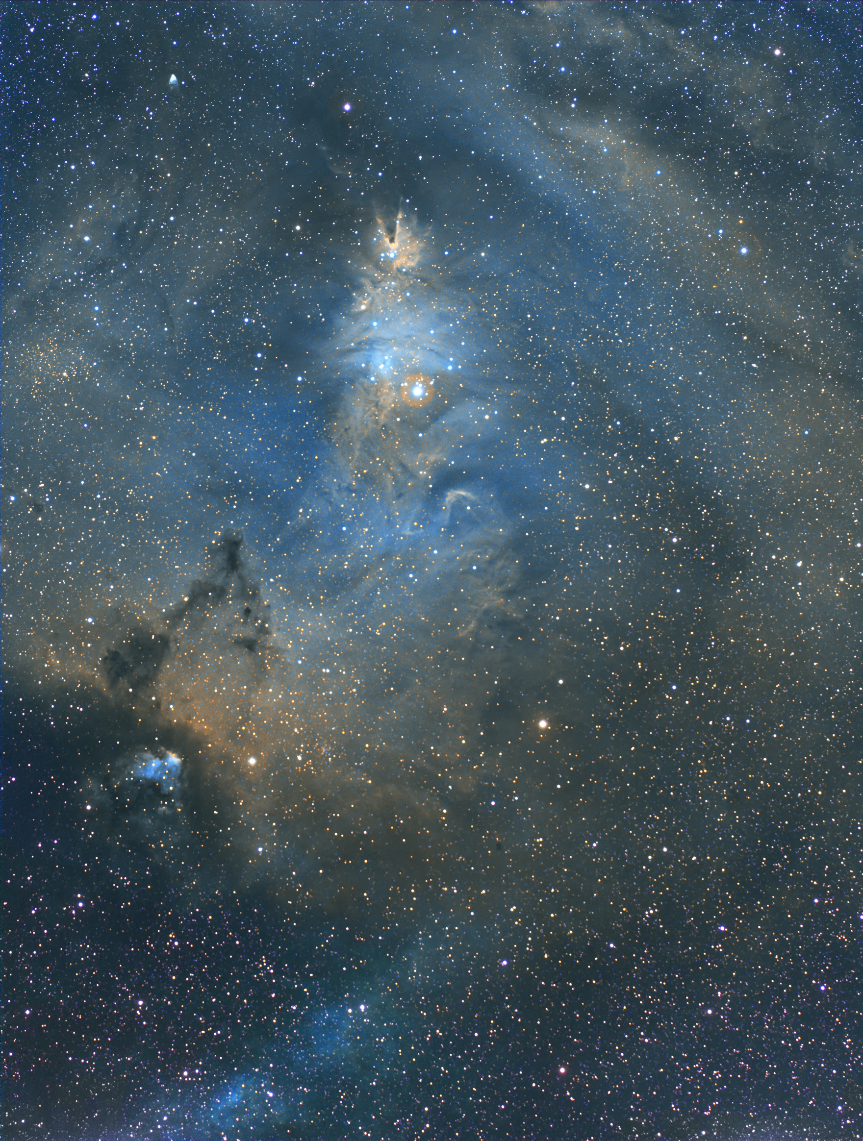 NGC2264_SHO합성1_회전_보정5_크기50.jpg