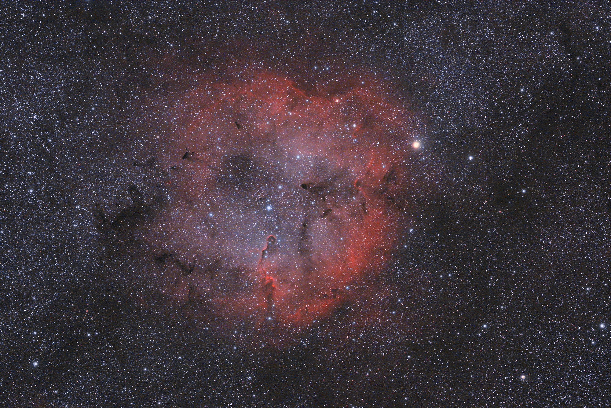 IC1396comppweb.jpg