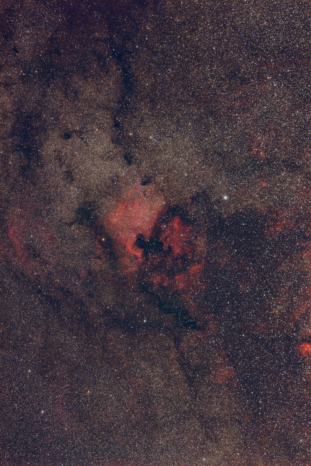 NGC7000_SY135mm_6D_P2_180s_20shot_1200P.jpg