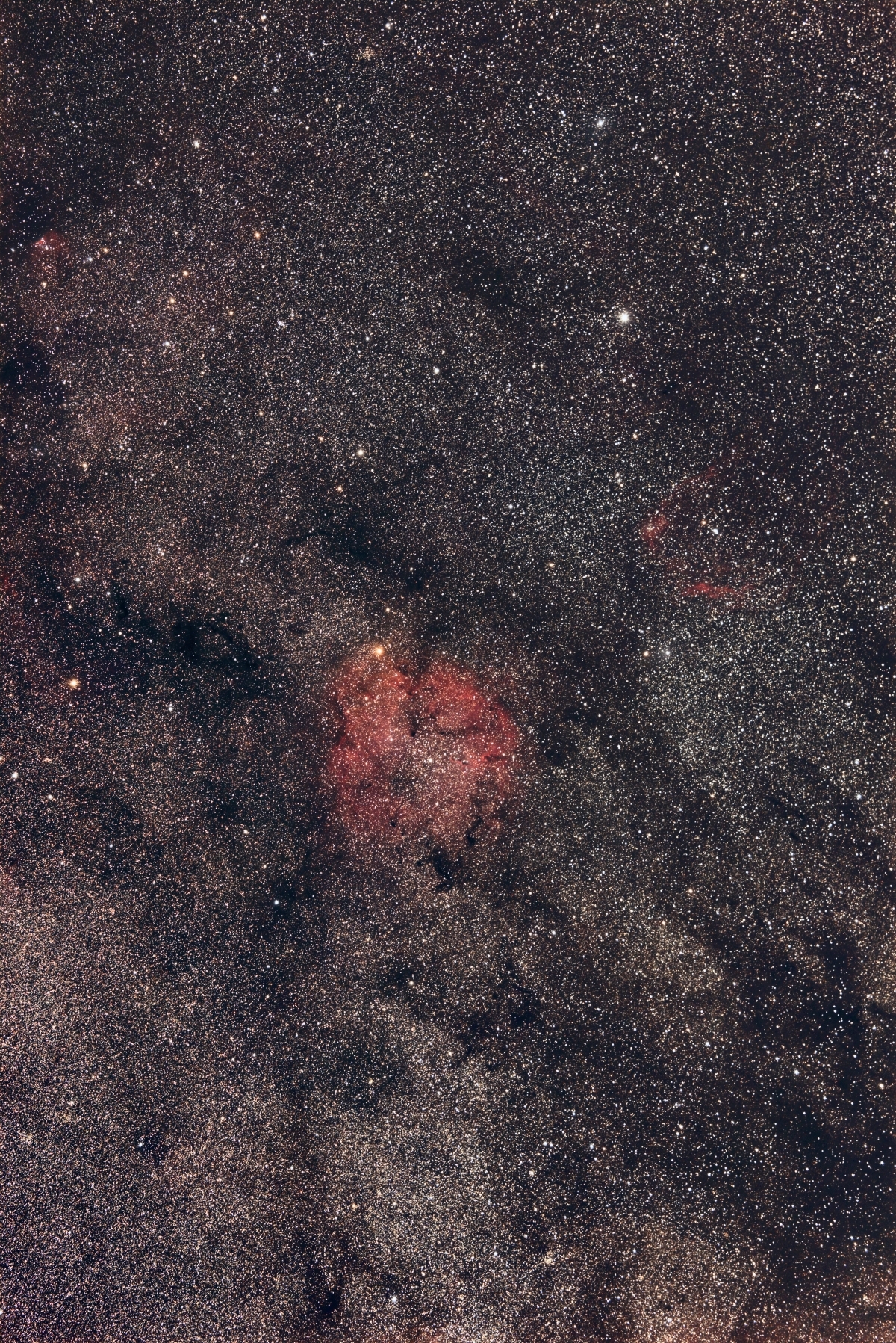 IC1396a_SY135mm_Canon6D_P2_180s_35shop_1200P2.jpg