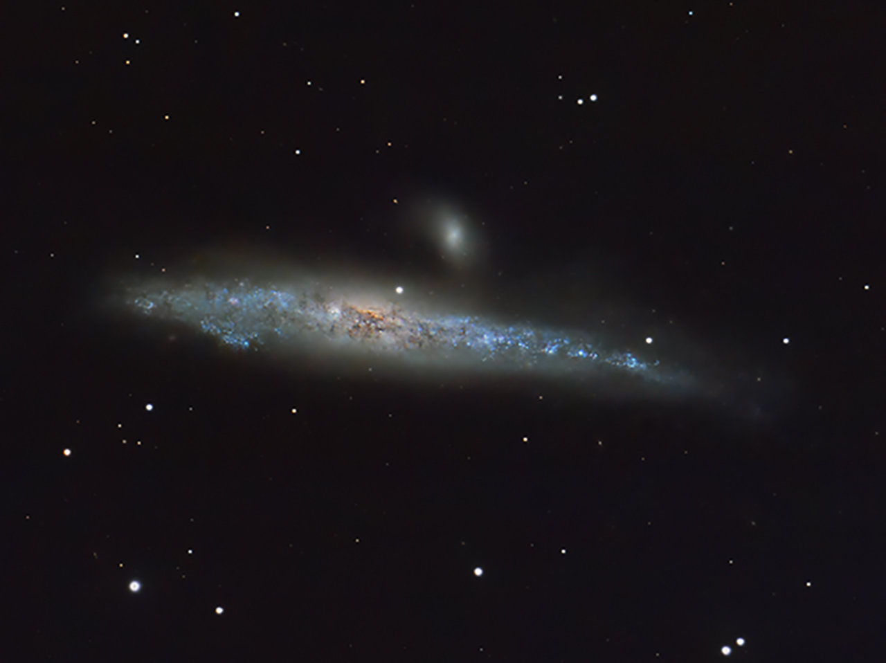 NGC4631_crop.jpg