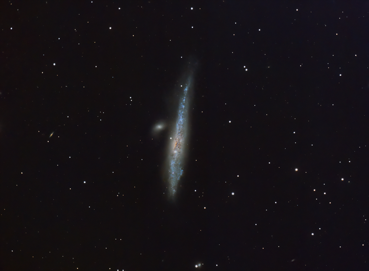 NGC4631_s.jpg
