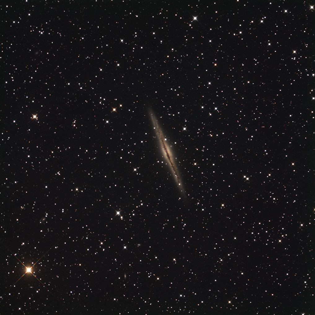 NGC 891 v2pss.jpg