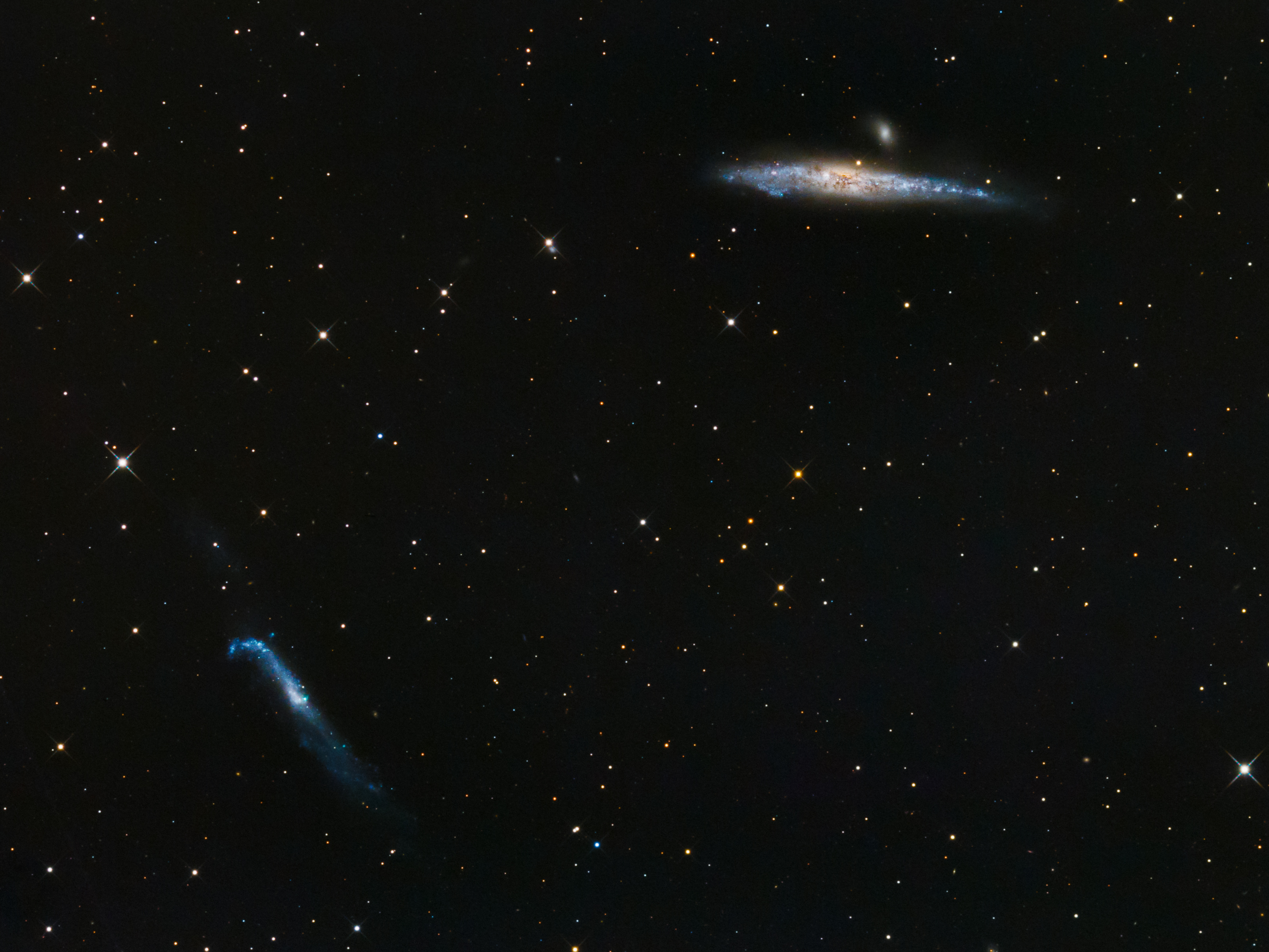 NGC4631_Large.jpg