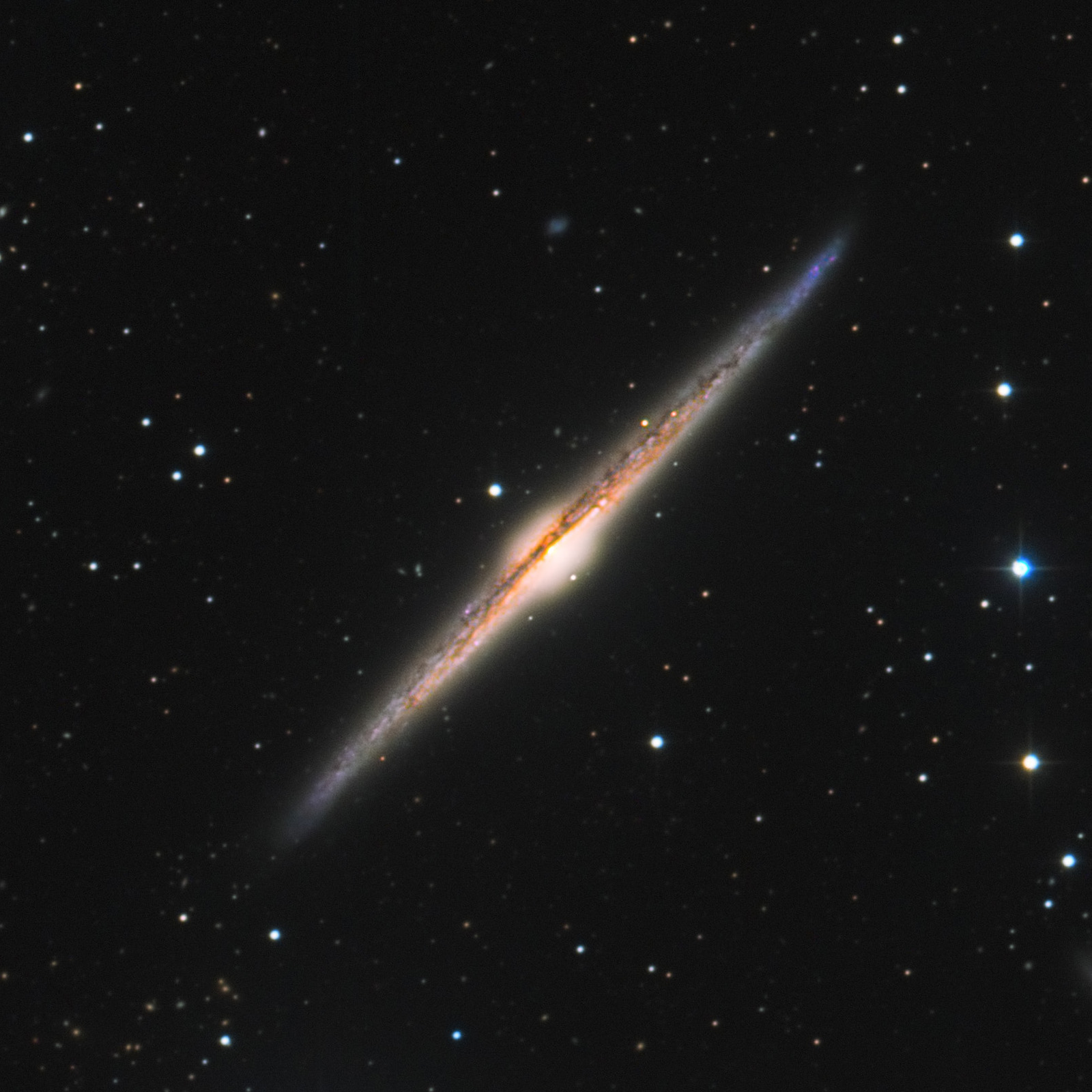 NGC4565_crop_1600px_q10.jpg