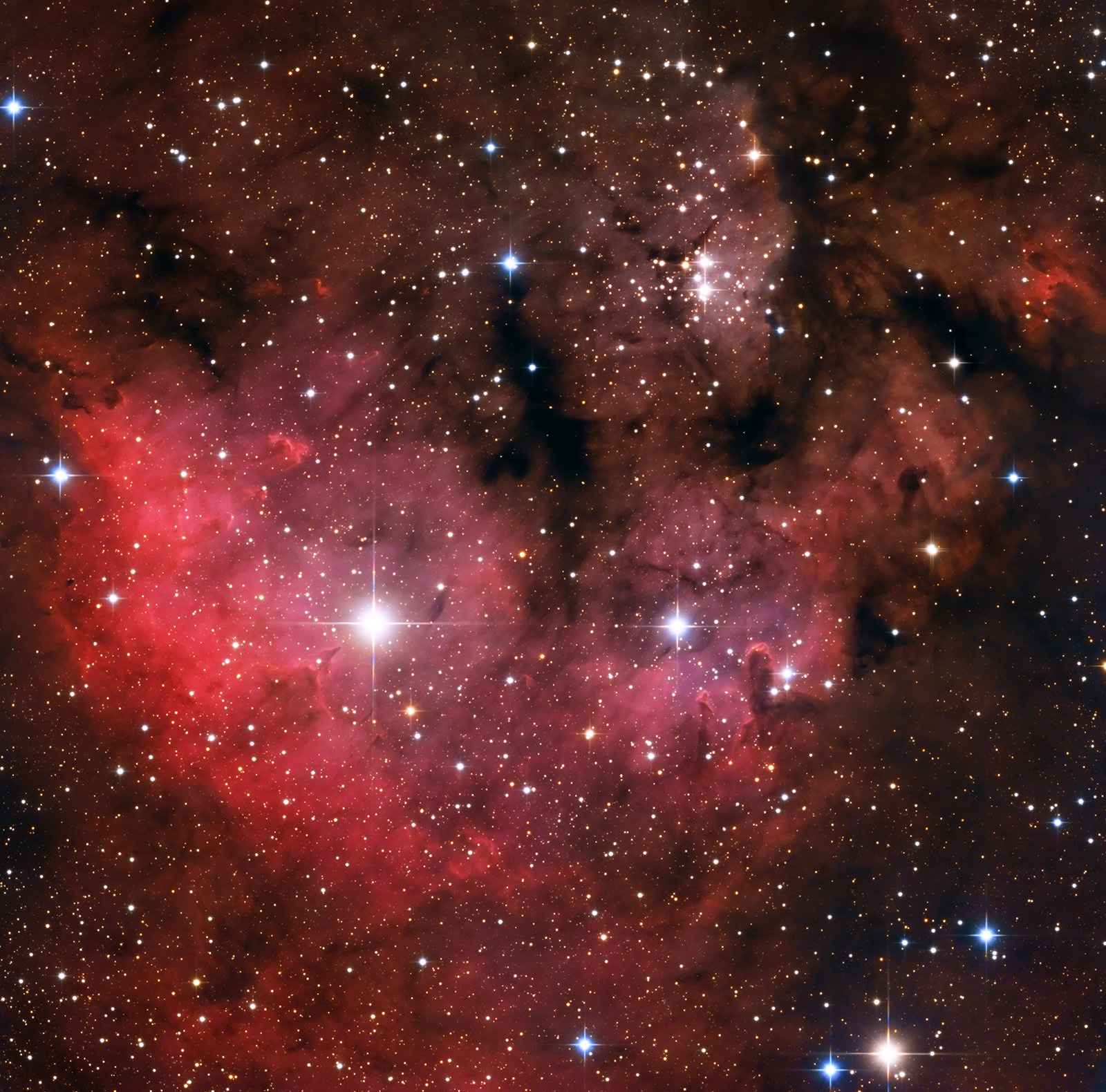 NGC7822_LRGB_1600px.jpg