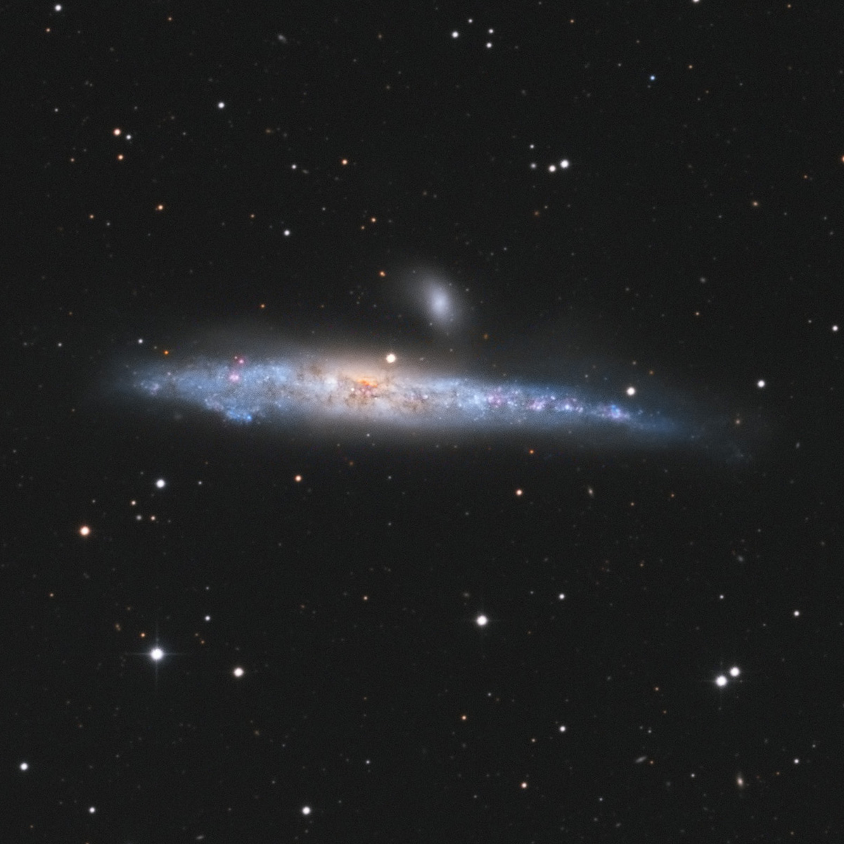 NGC4631_Whale_Galaxy_1200px.jpg