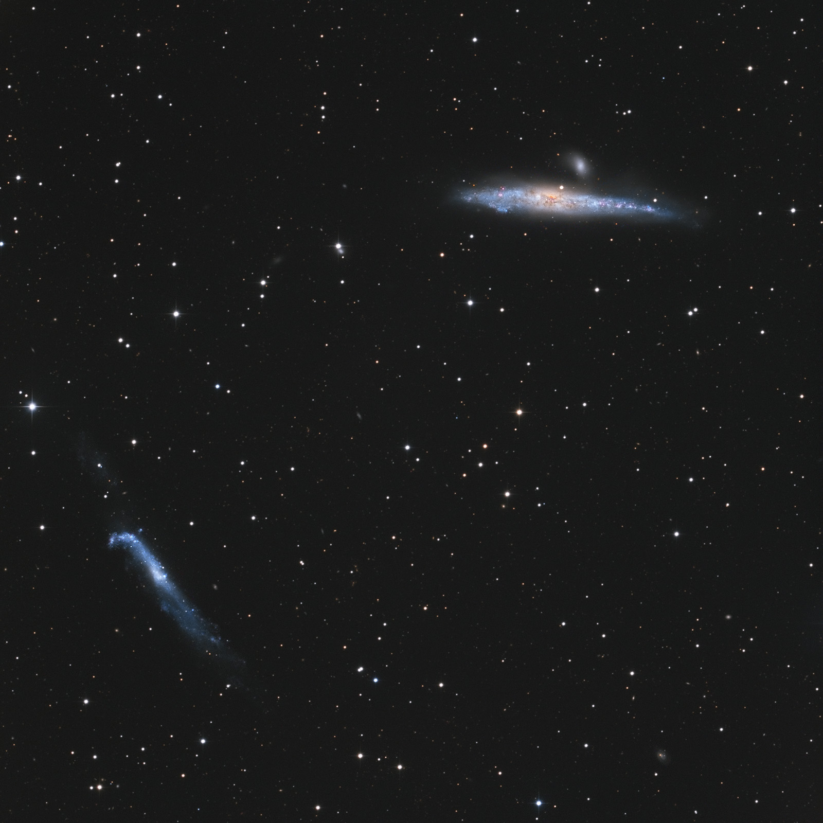 NGC4631_4656_Whale_HockeyStick_Galaxy_1600px.jpg