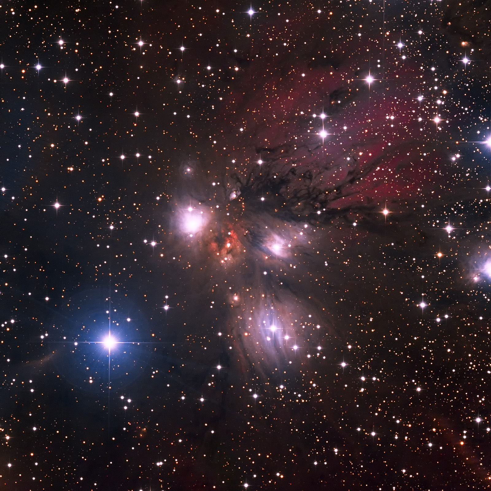 NGC2170_1600px_q10.jpg