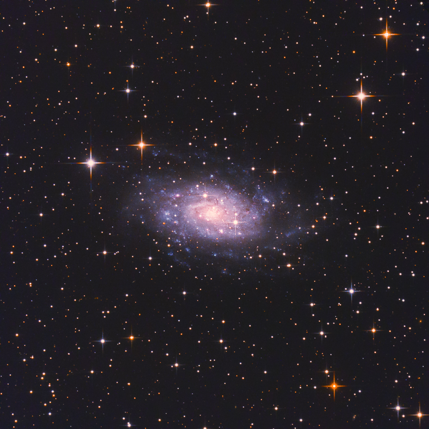 NGC2403_FIN2.jpg