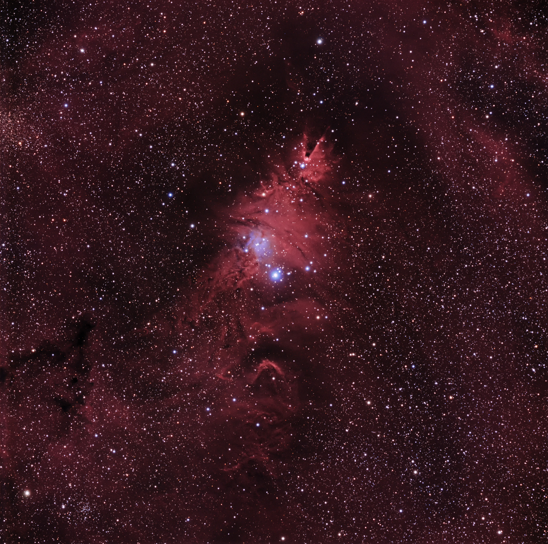 NGC2264aa-Dfine2-selective-small.jpg