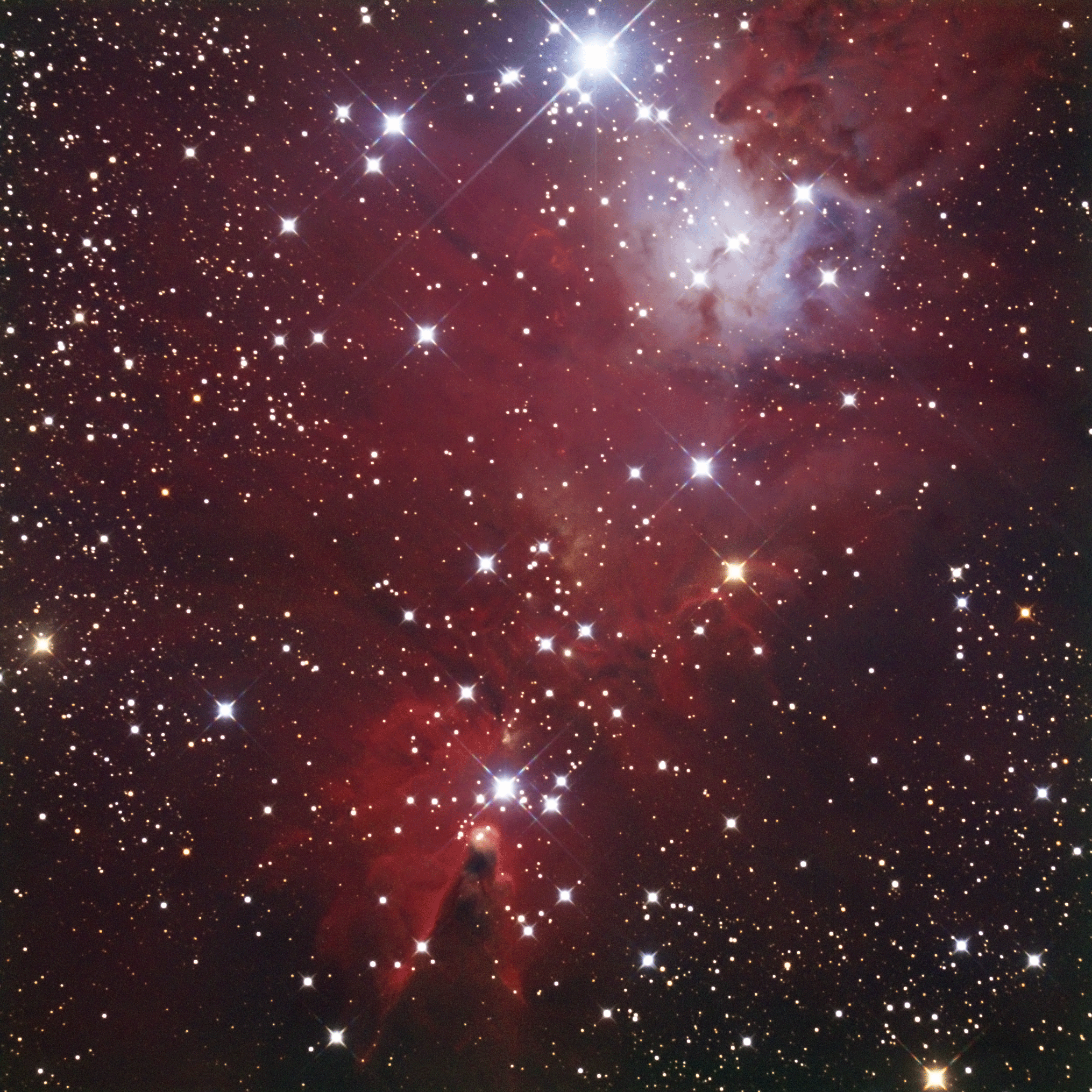 NGC-2264-v1ps.gif