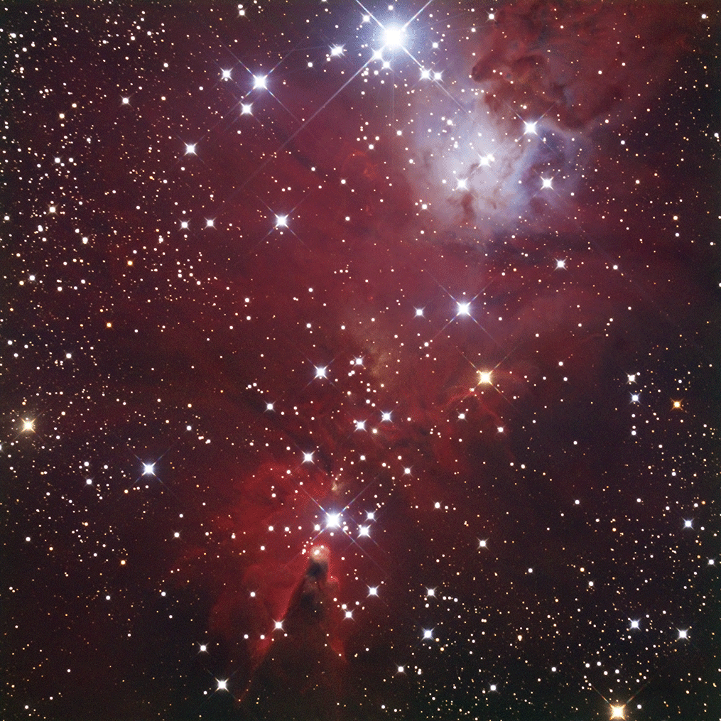 NGC-2264-v1pss.gif