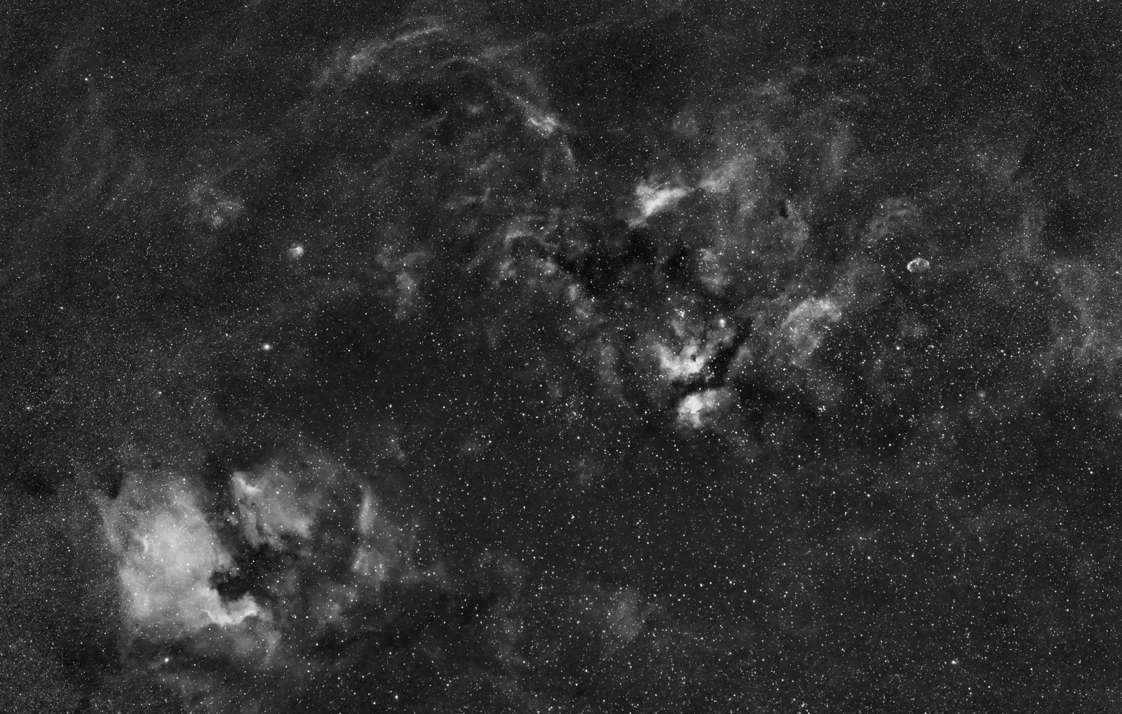 NGC7000_Sadr_SY135mm_STC_Duo_6D_P2_R_1600p.jpg