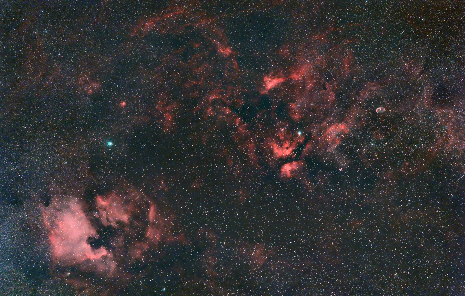 NGC7000_Sadr_SY135mm_STC_Duo_6D_P2_1600p_3.jpg