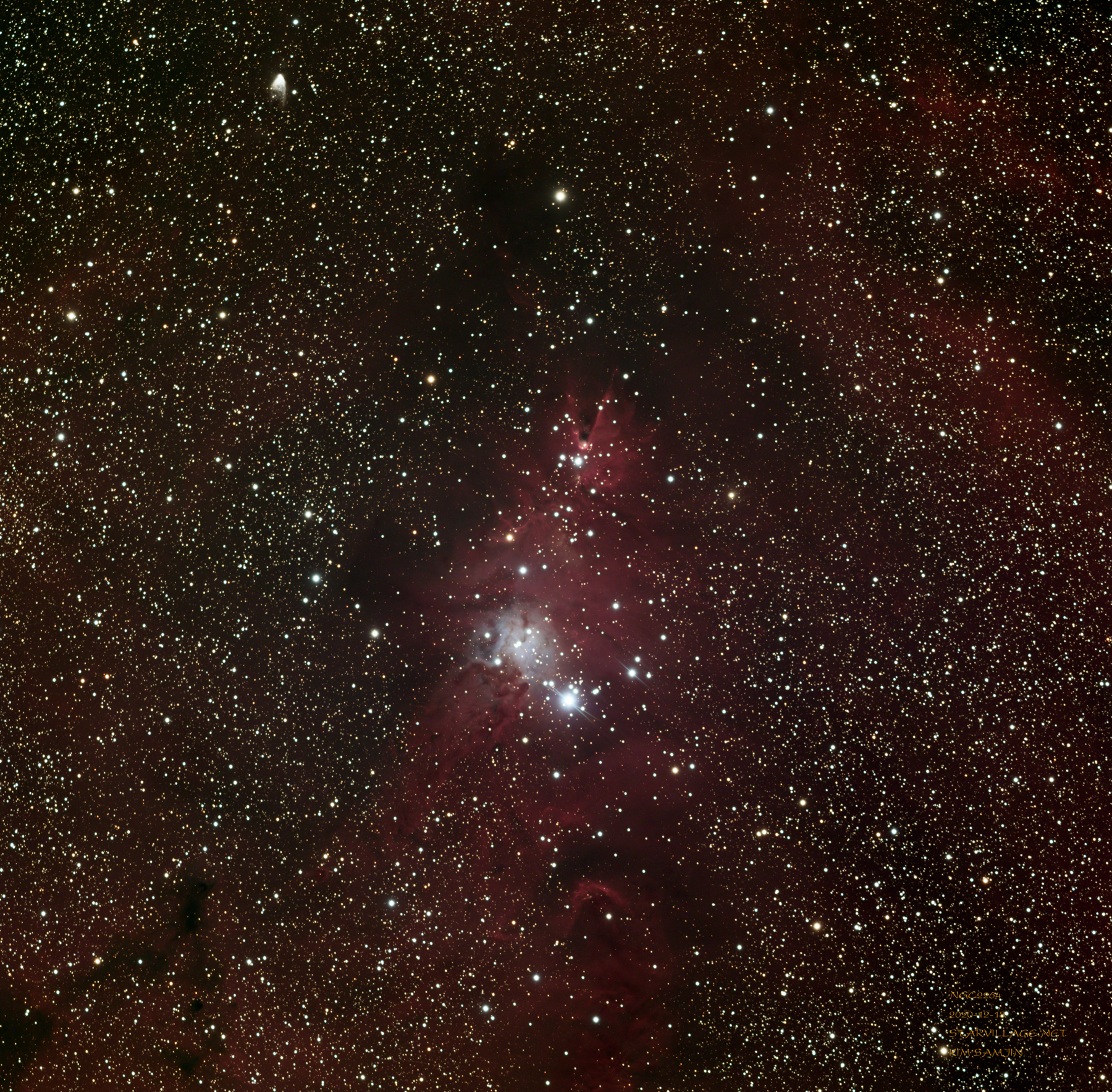 NGC2264-LRGB-1800.jpg