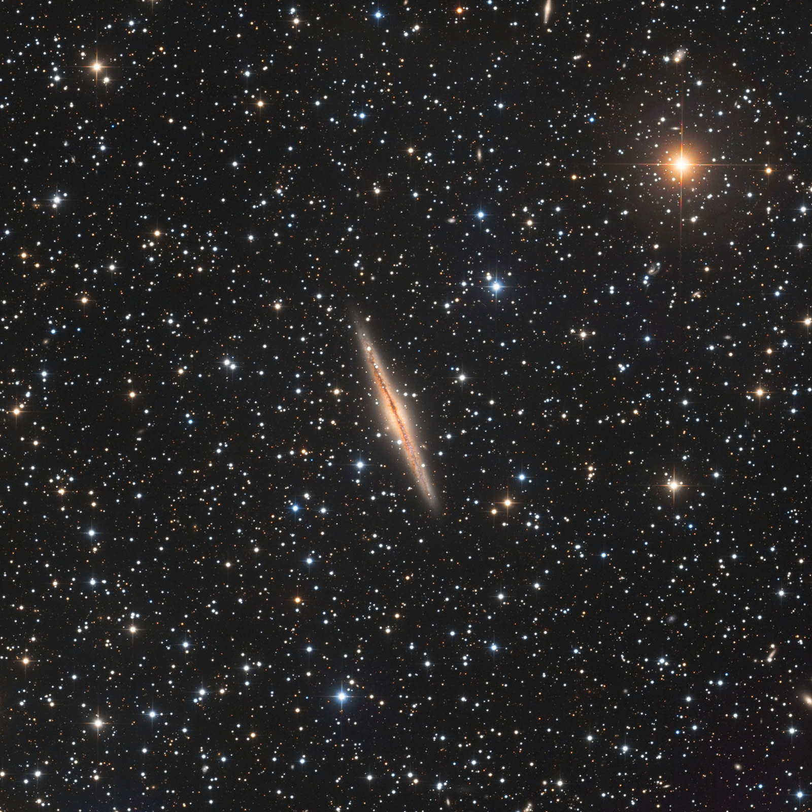 NGC891_1600px_q10.jpg