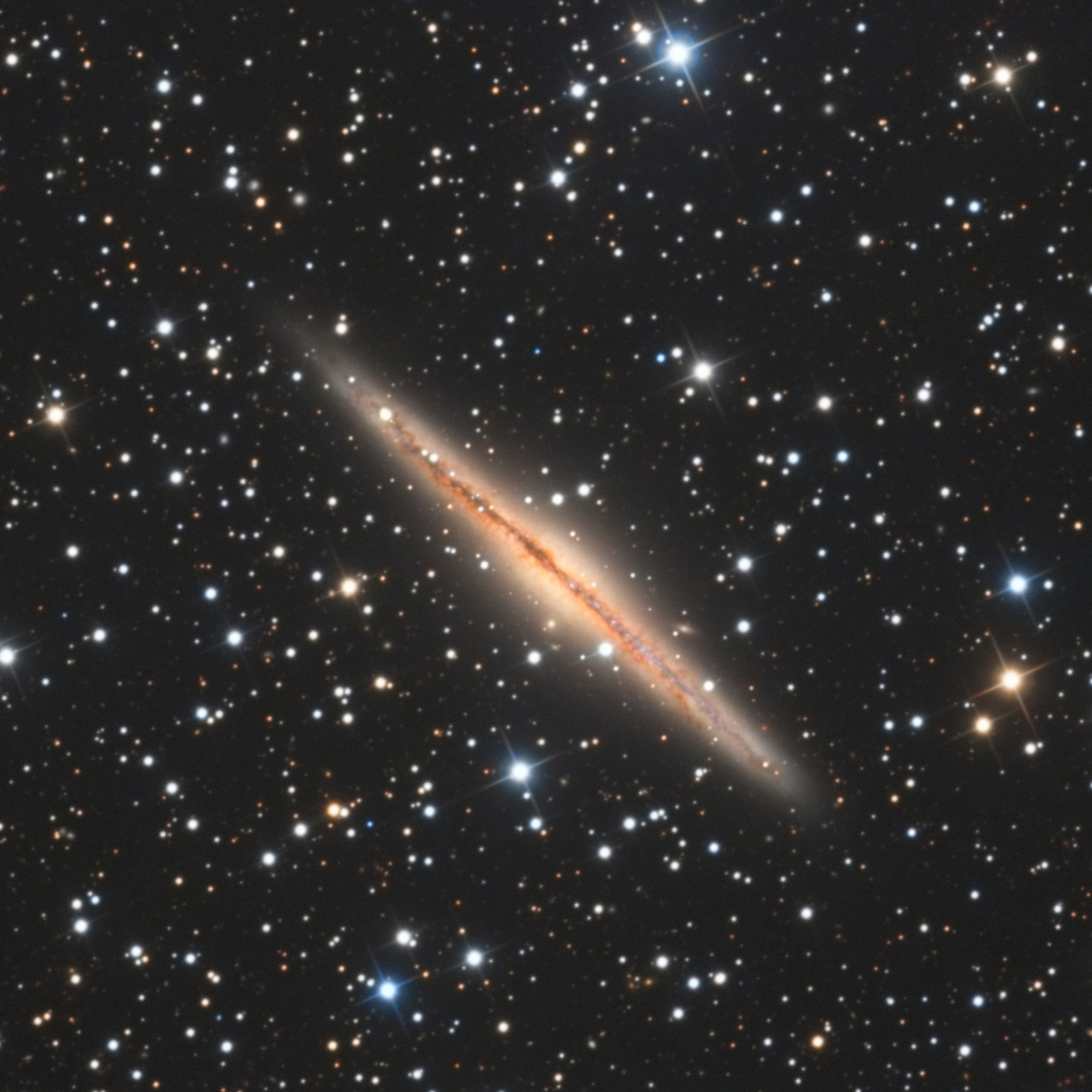 NGC891_rotate_crop_1600px_q10.jpg