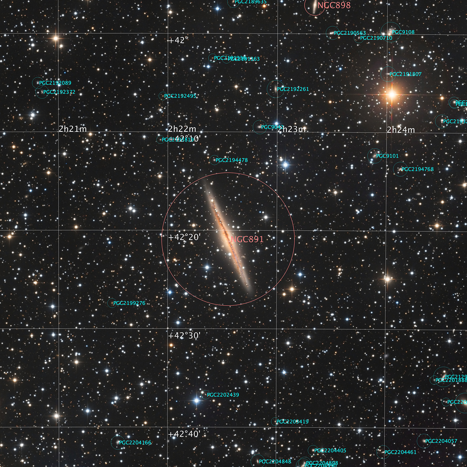 NGC891_annotated_1600px_q10.jpg