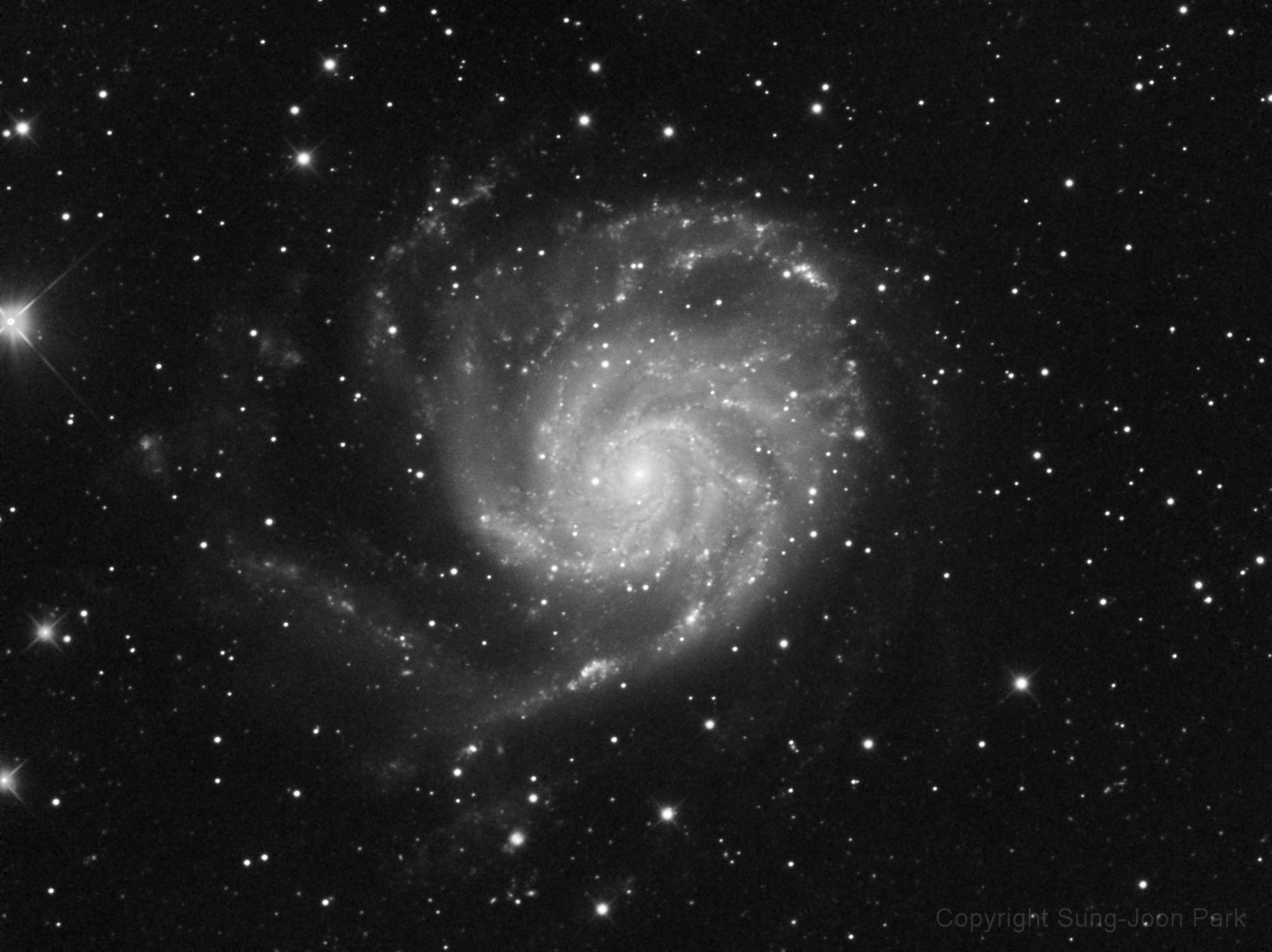 M101_L_v1_upload.jpg